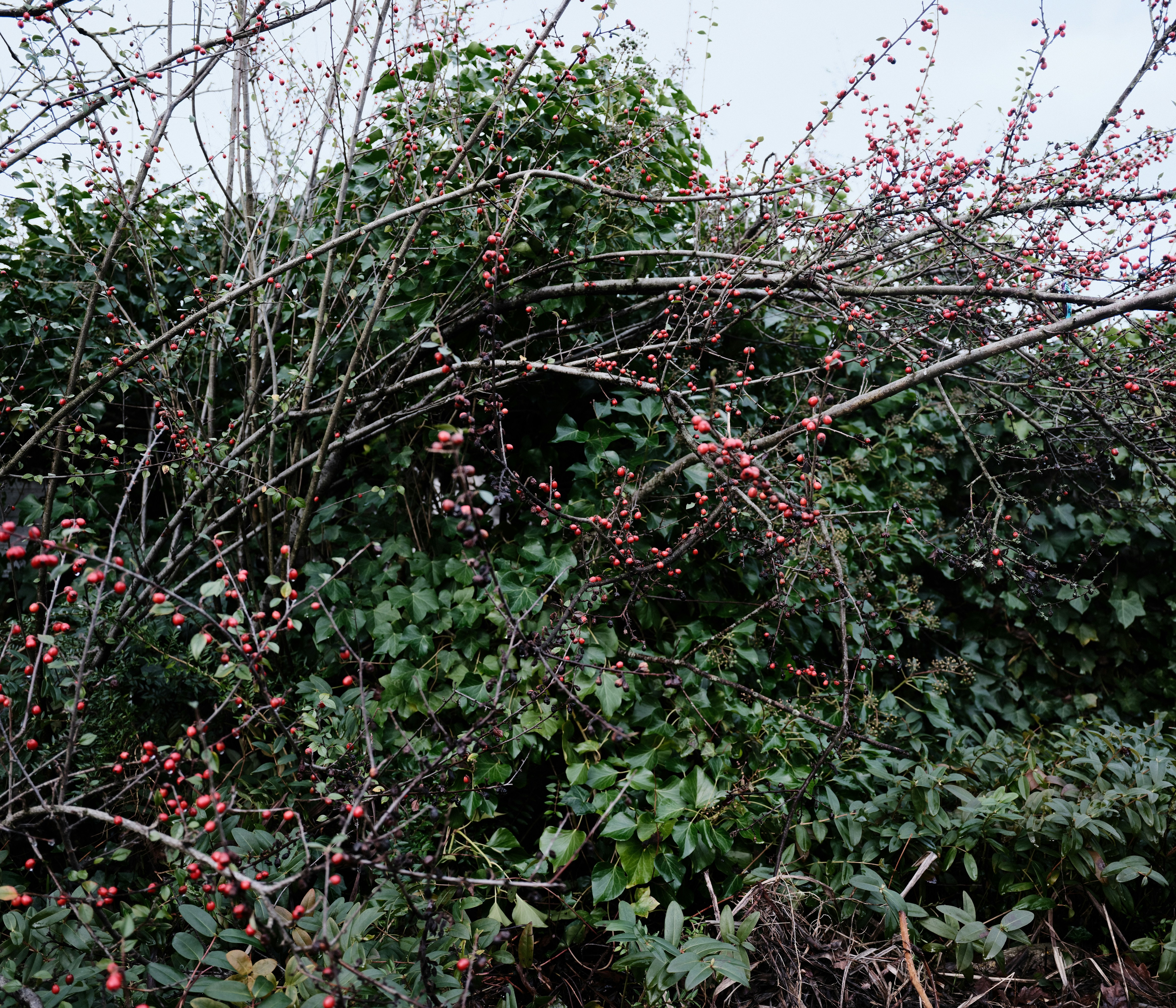 Photo by tanyabarrow