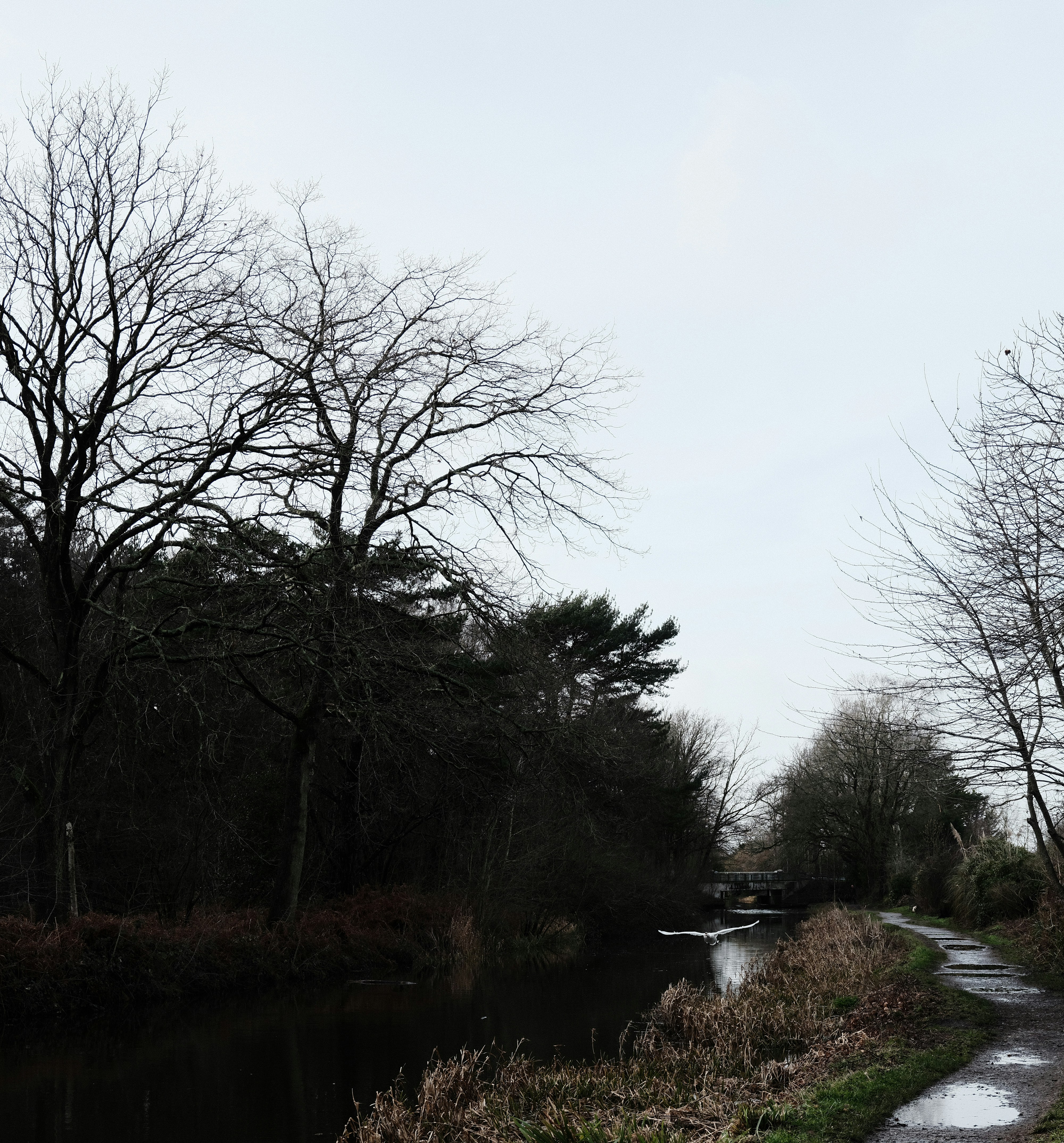 Photo by tanyabarrow