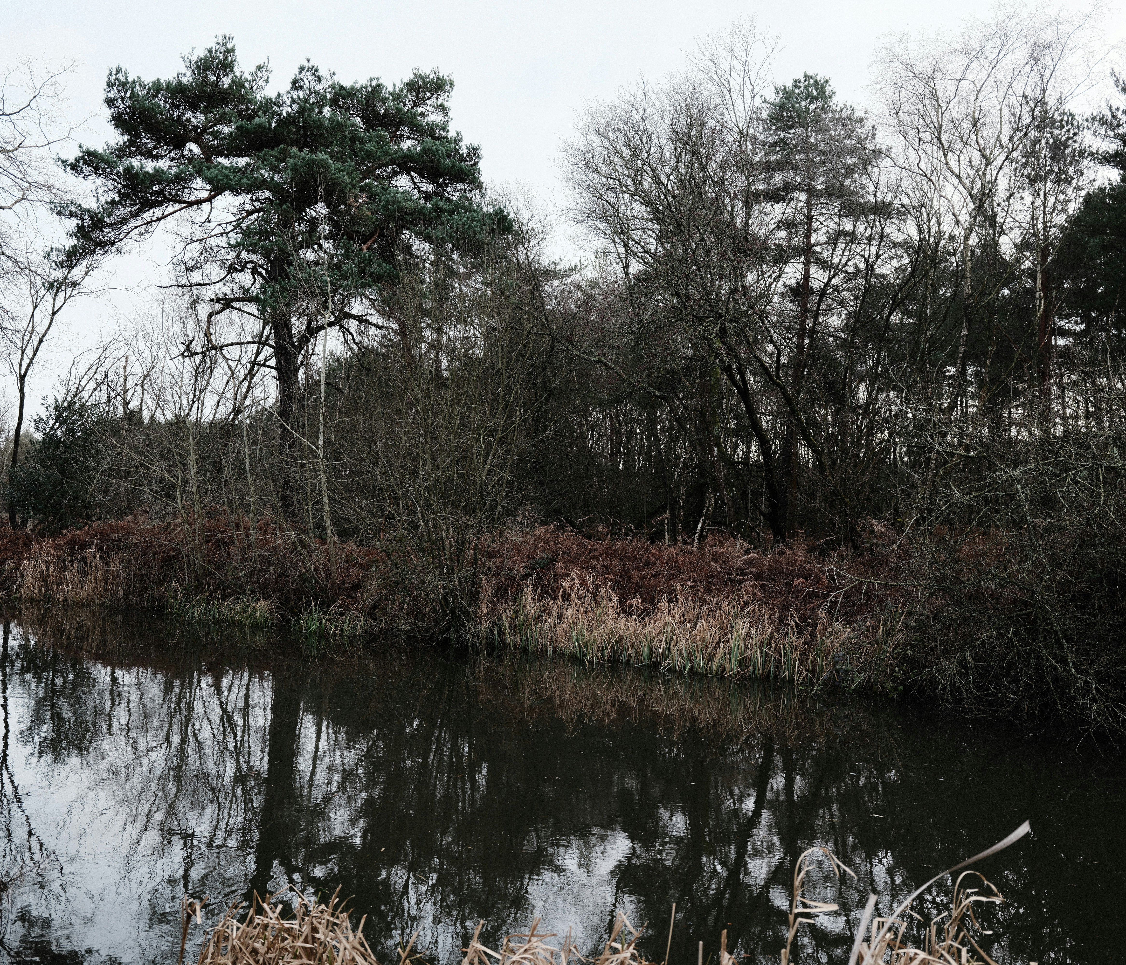 Photo by tanyabarrow