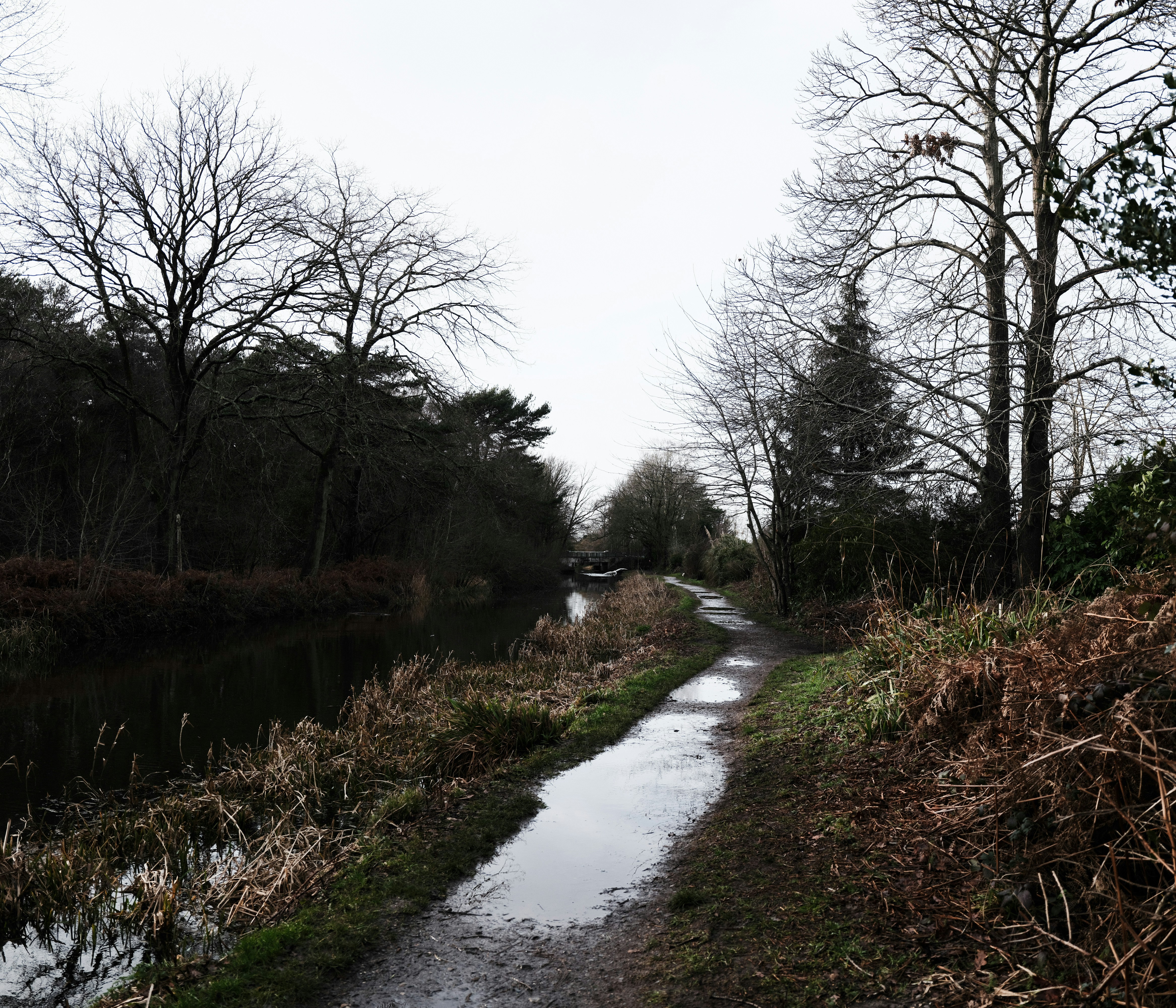 Photo by tanyabarrow