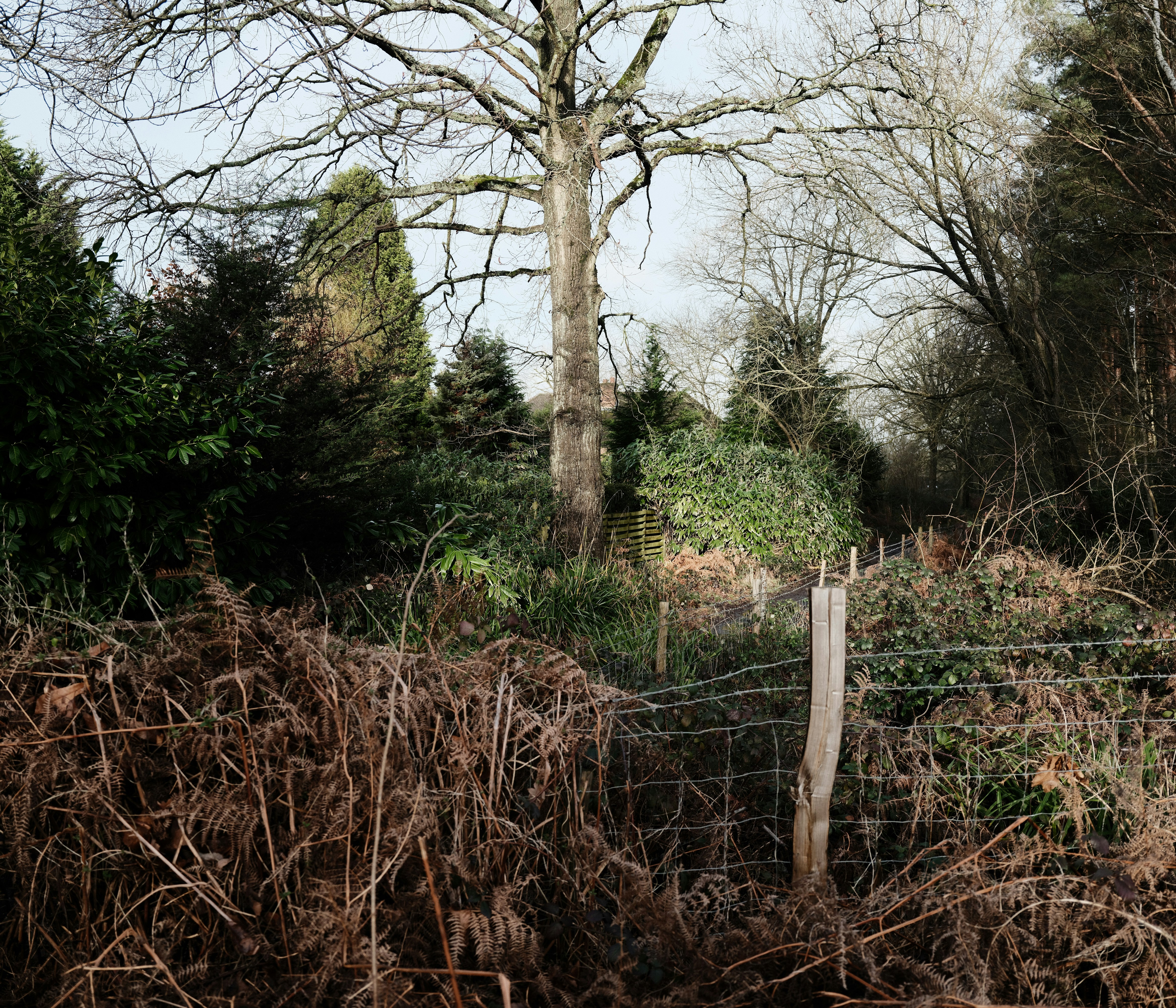 Photo by tanyabarrow