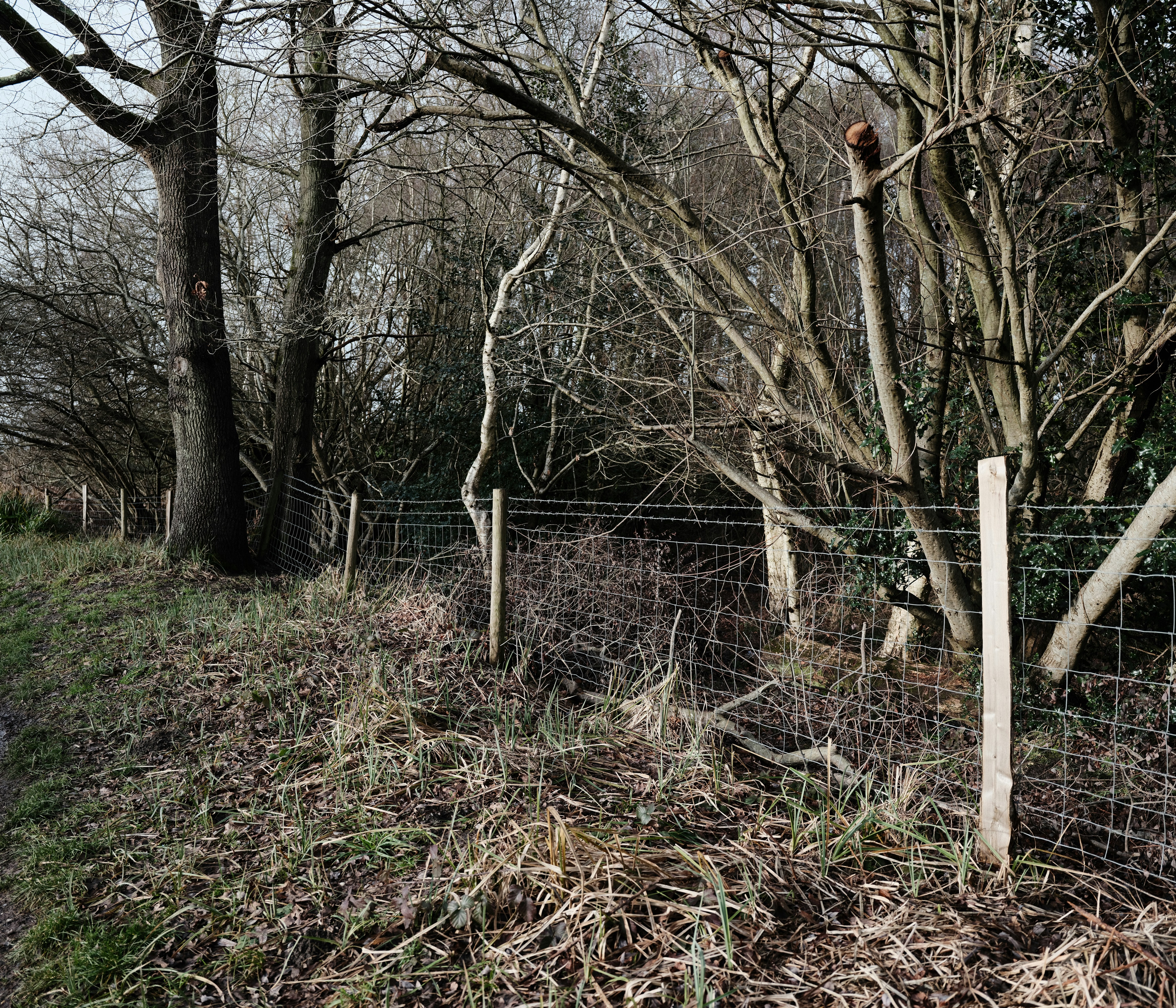 Photo by tanyabarrow