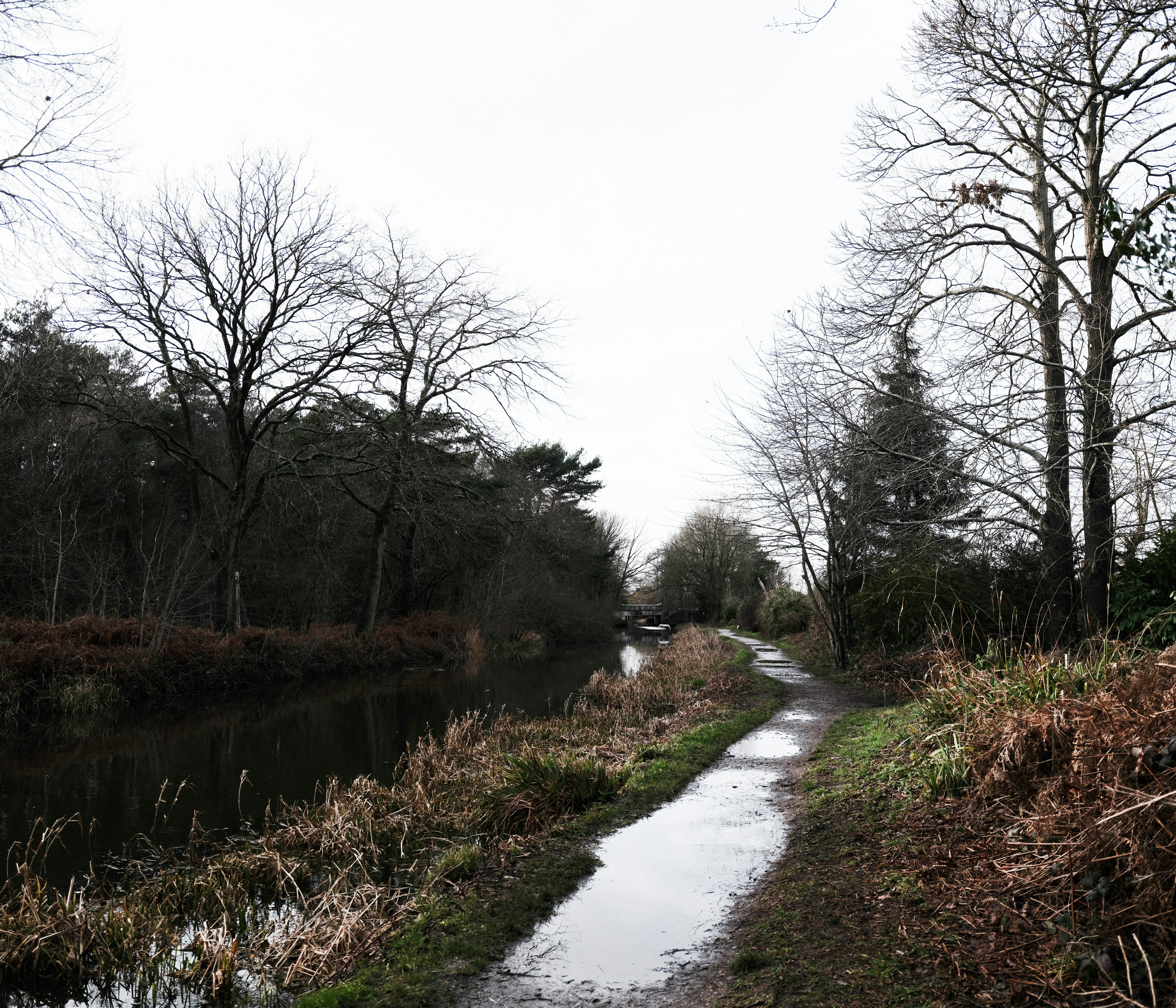 Photo by tanyabarrow