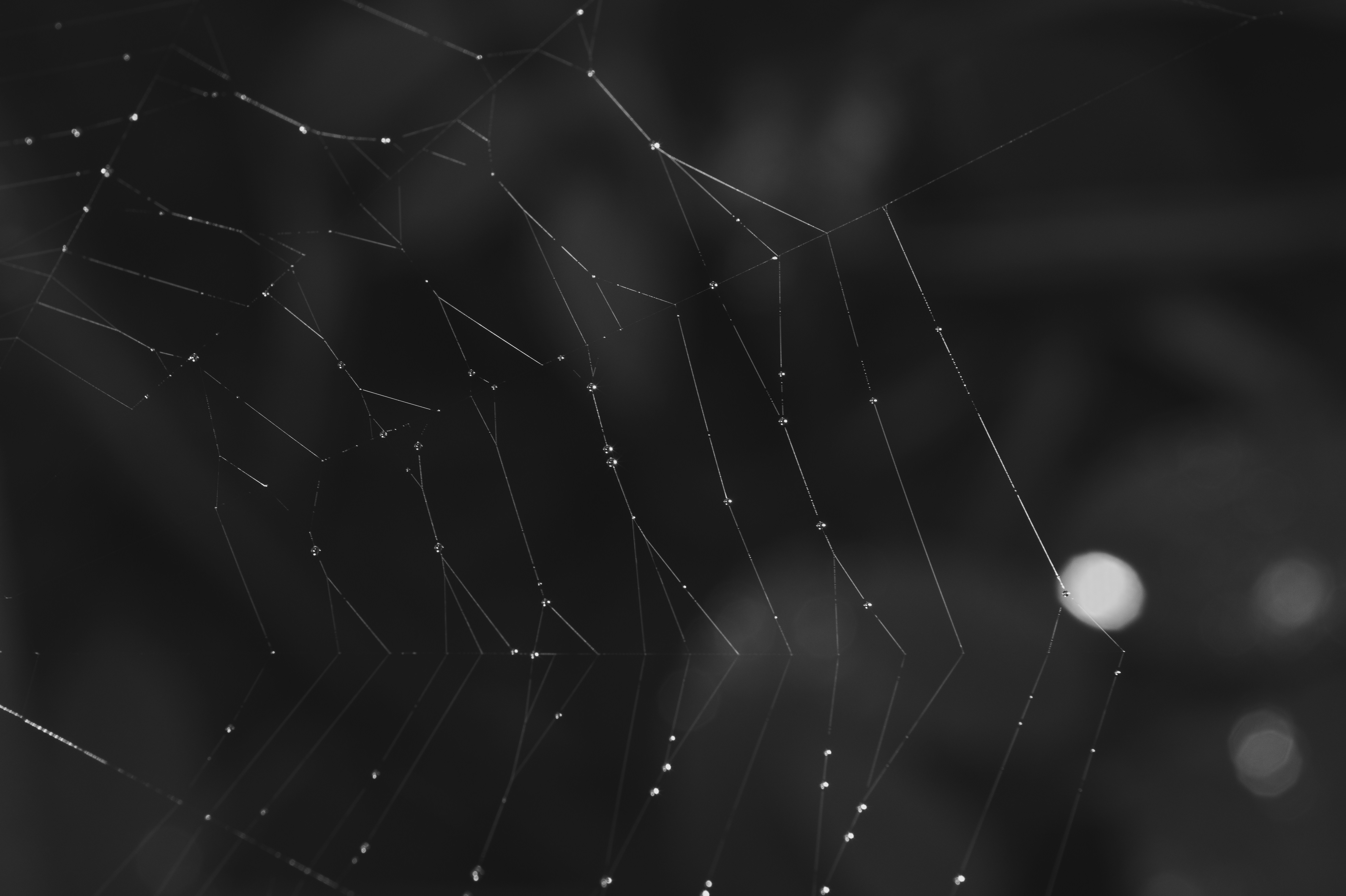 minimalist web design, wallpaper, HTML CSS: A Beginner's Guide 2