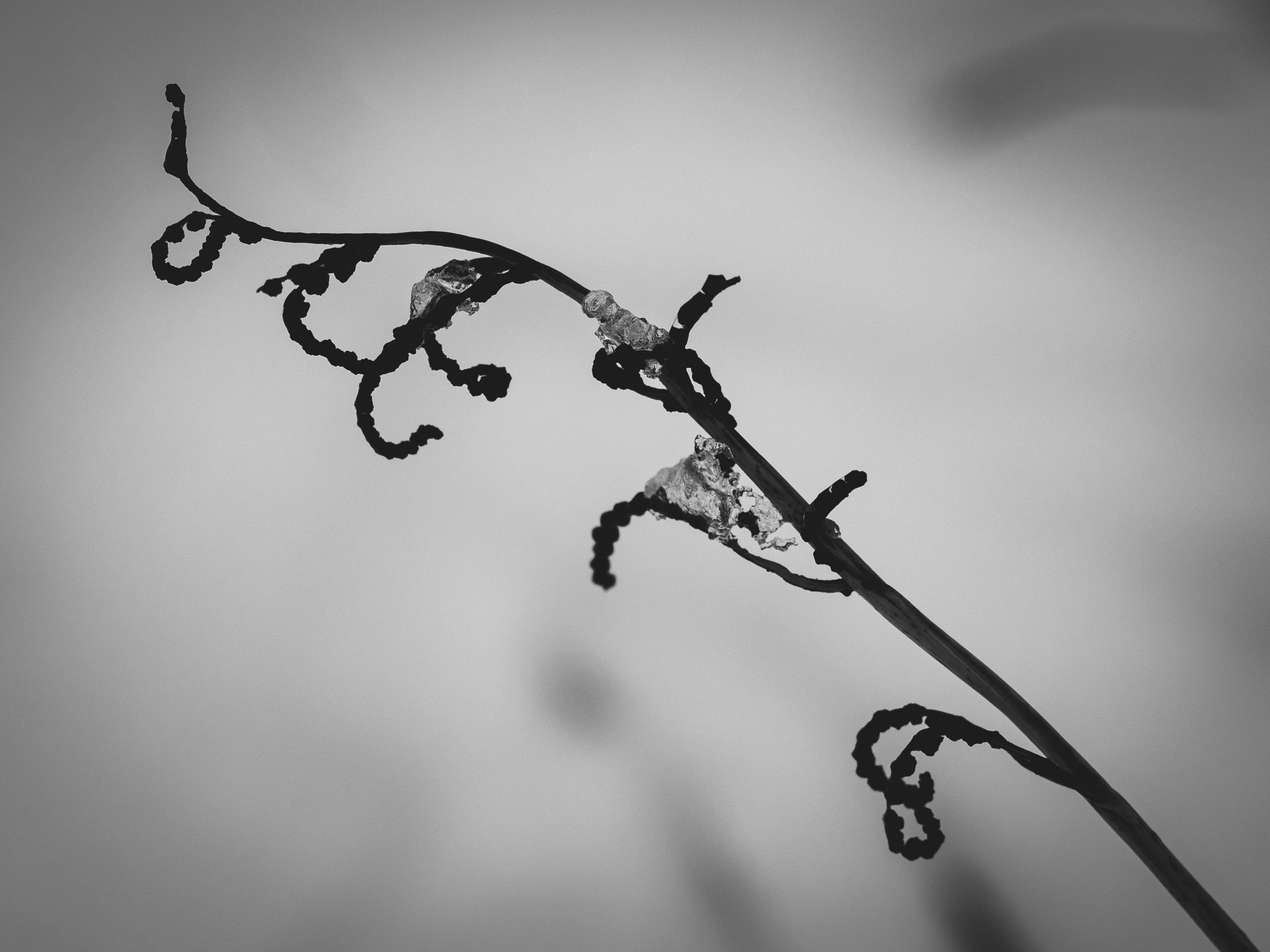 Photo by lunarpig