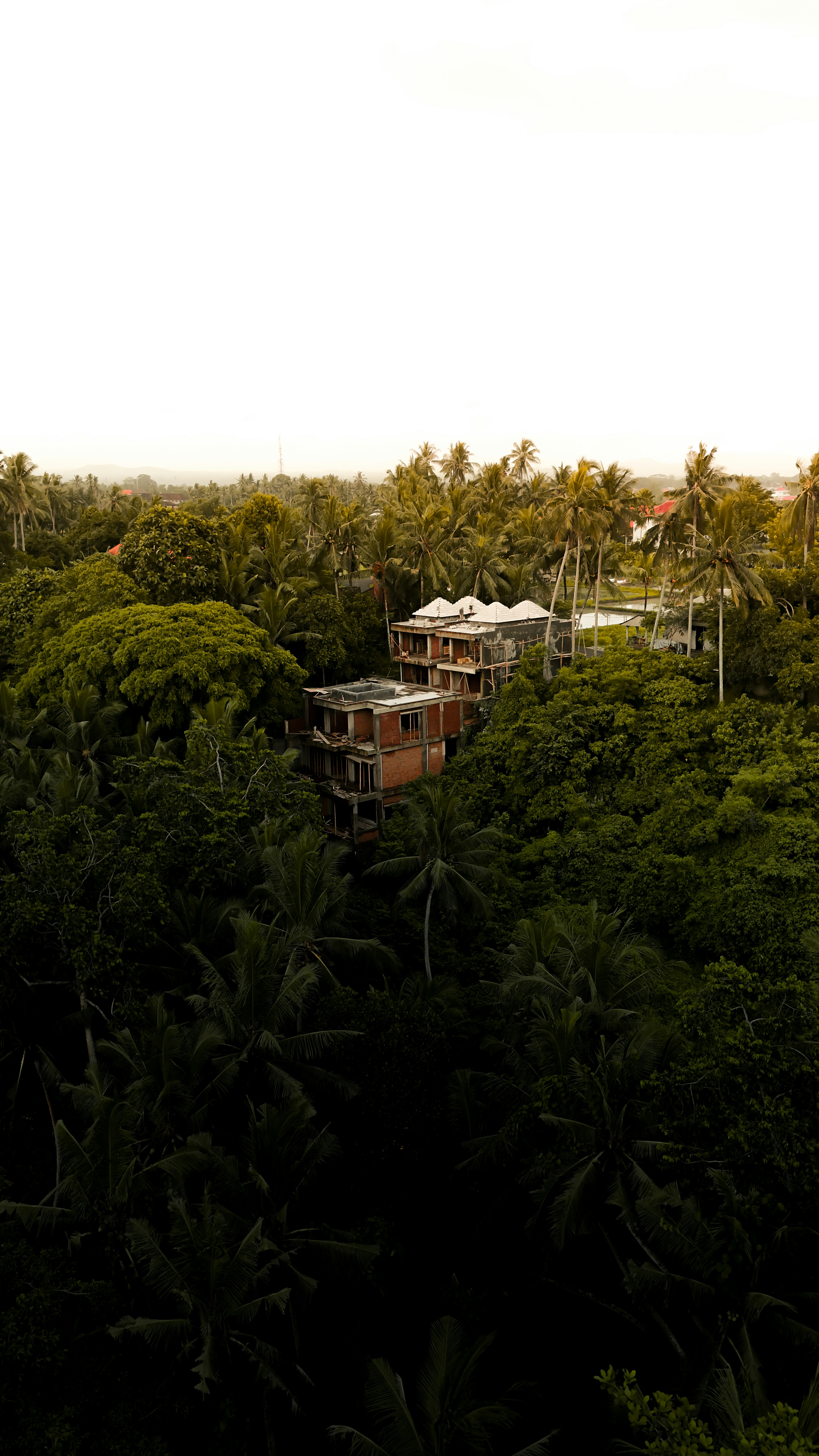 Buildings under construction surrounded by lush green trees.