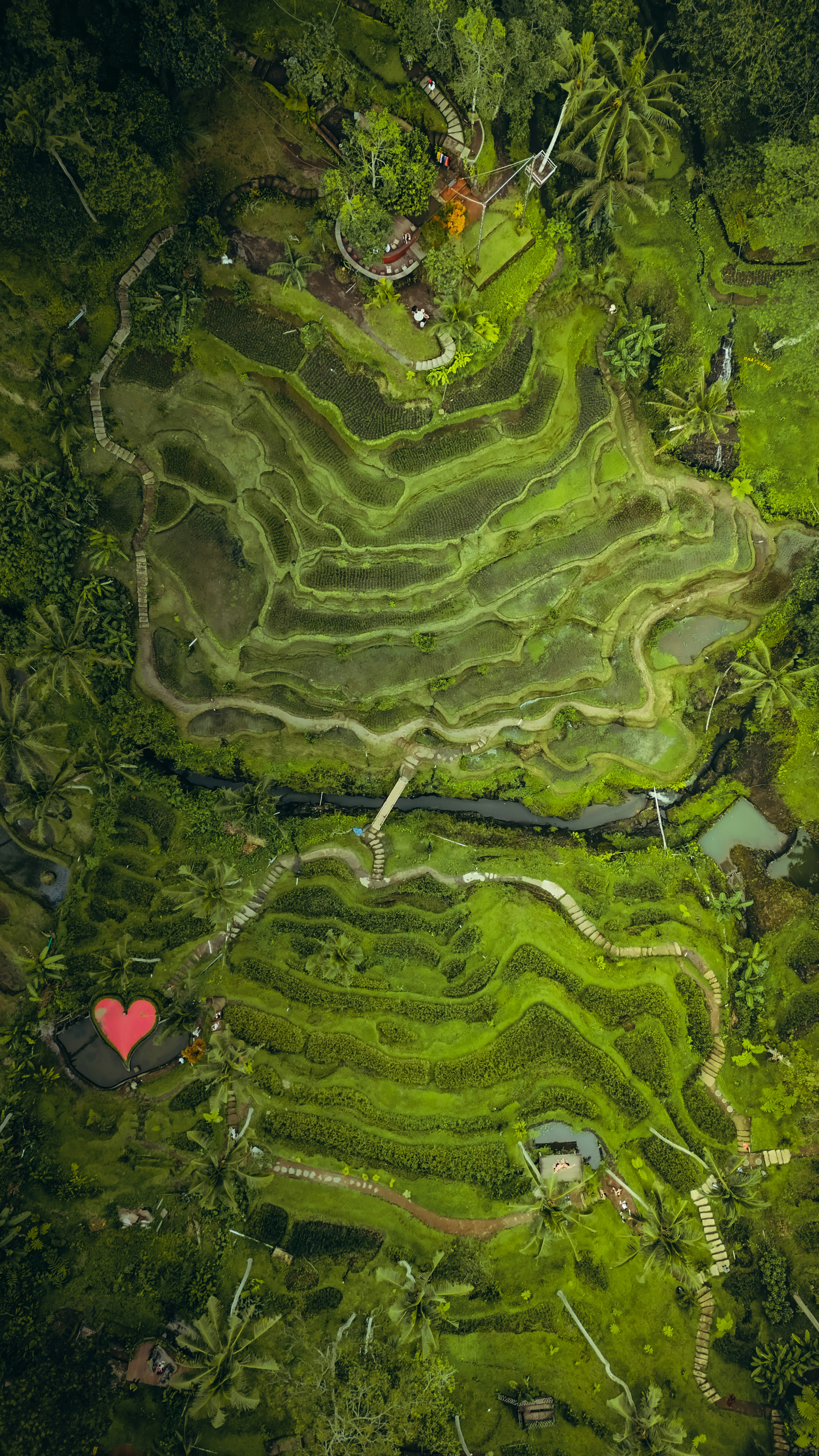 Photo by anmadezzzzz