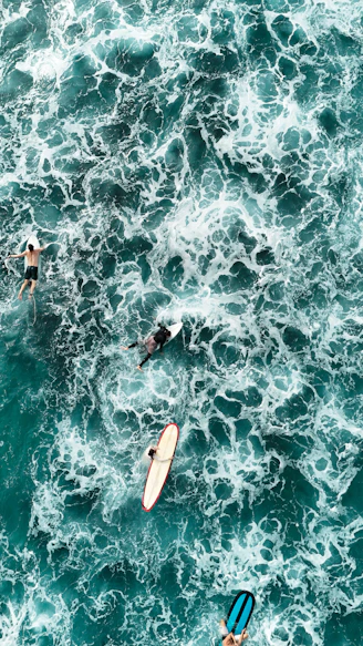 Surfers floating on surfboards in choppy ocean waves