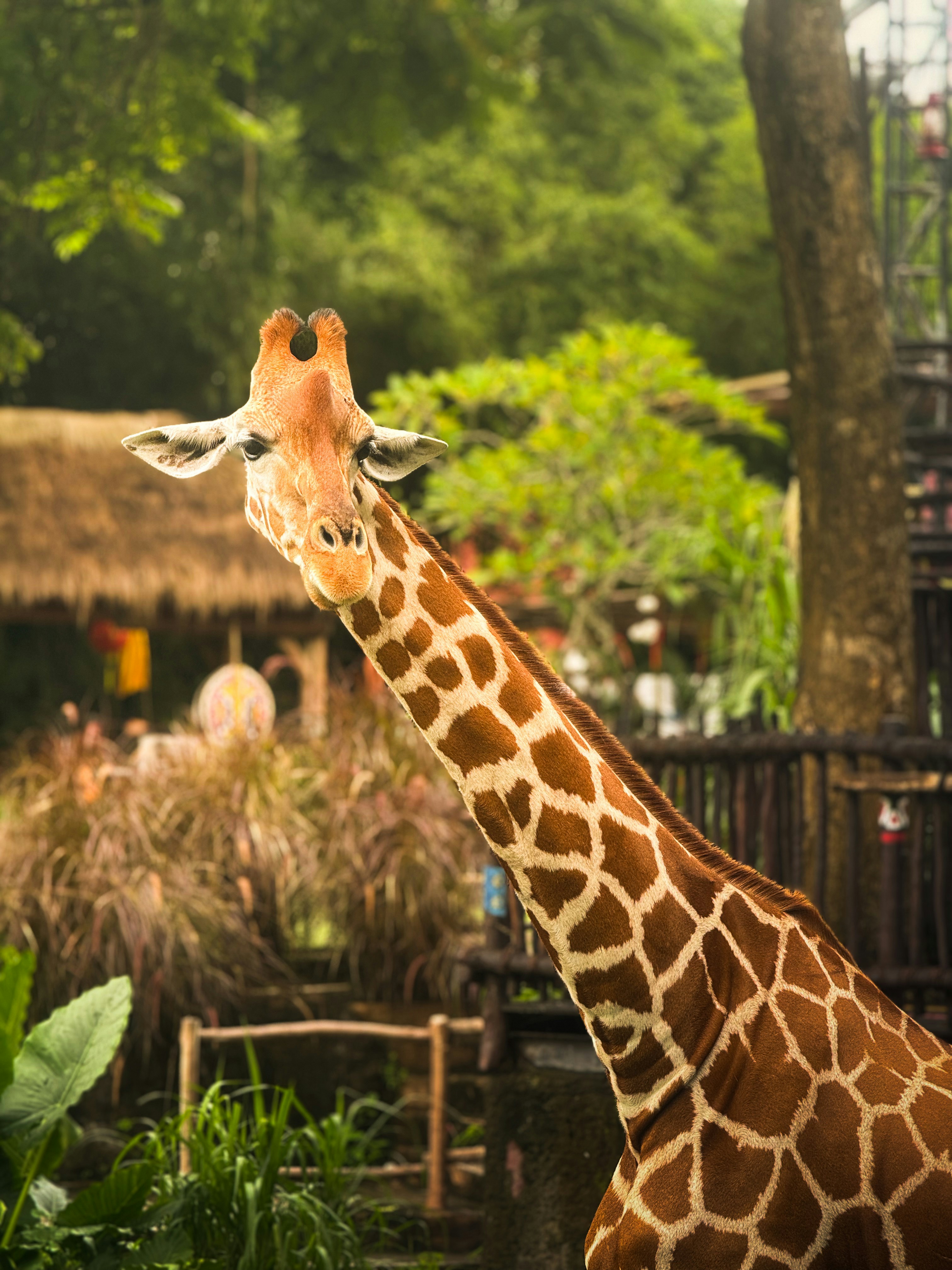 Photo by anmadezzzzz