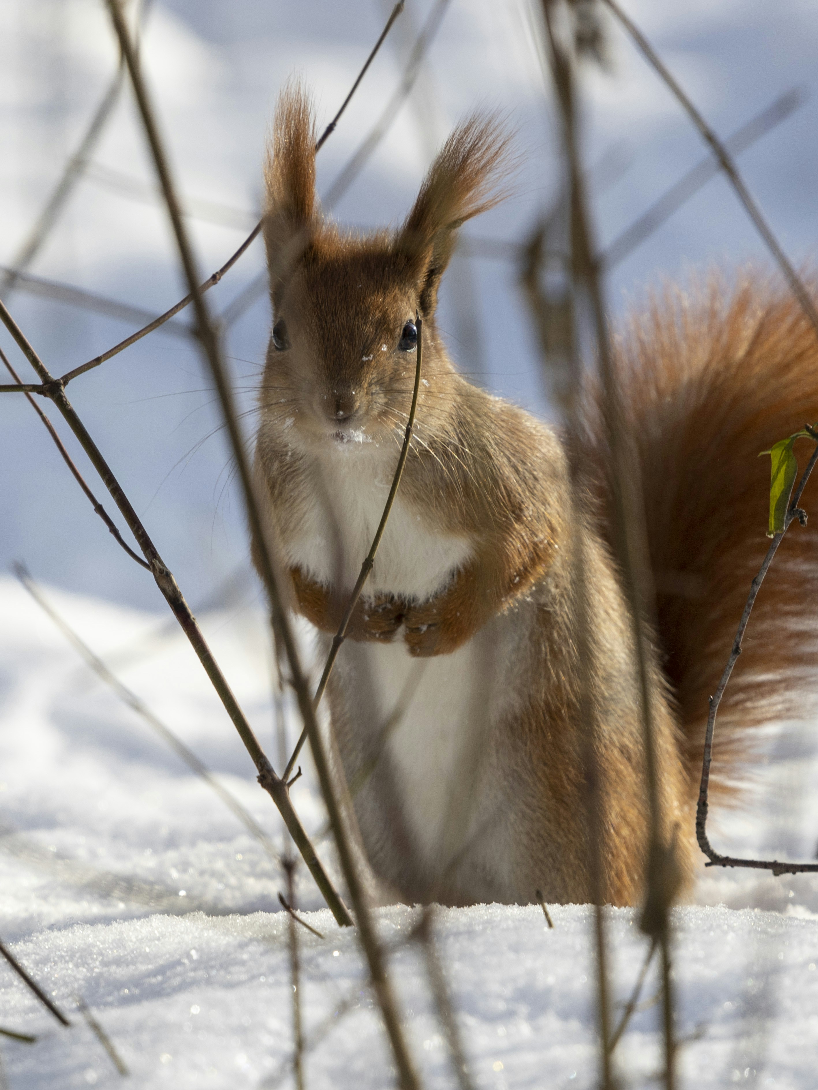 Photo by uin84917798