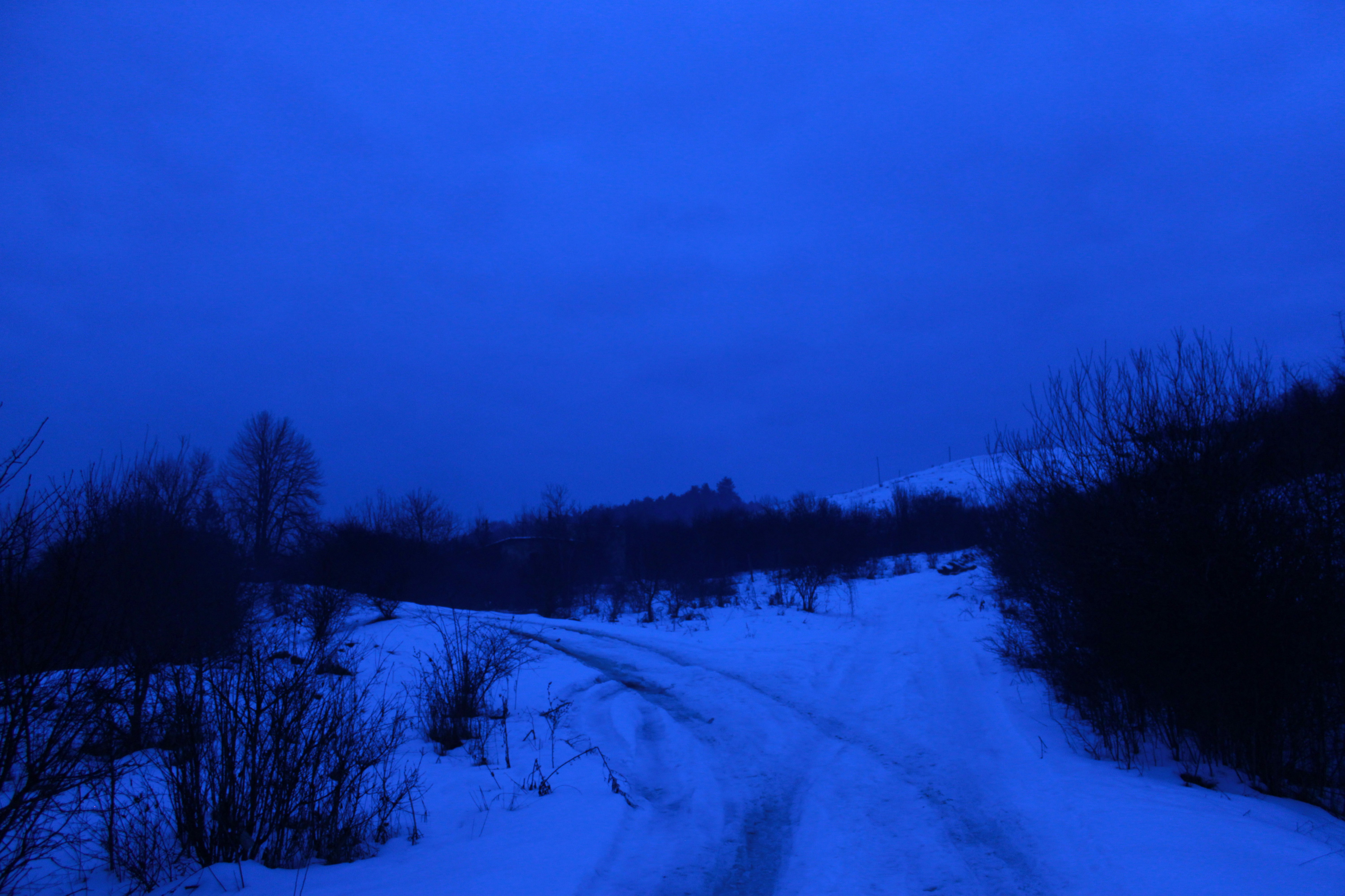 Snowy path through a dark, blue landscape