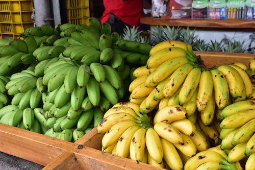Pachai green bananas