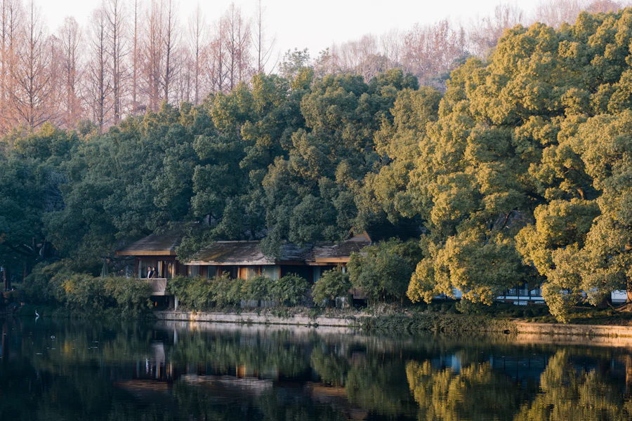 Willow trees along West Lake in Hangzhou during spring