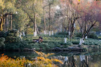 Best Season to Visit Hangzhou: When to Go, When to Skip, and Why It Matters