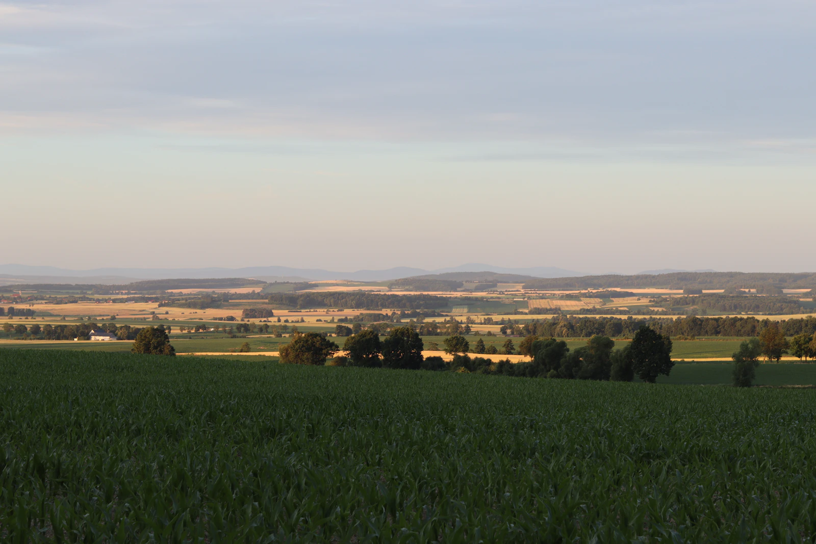 Highveld farmland at golden hour