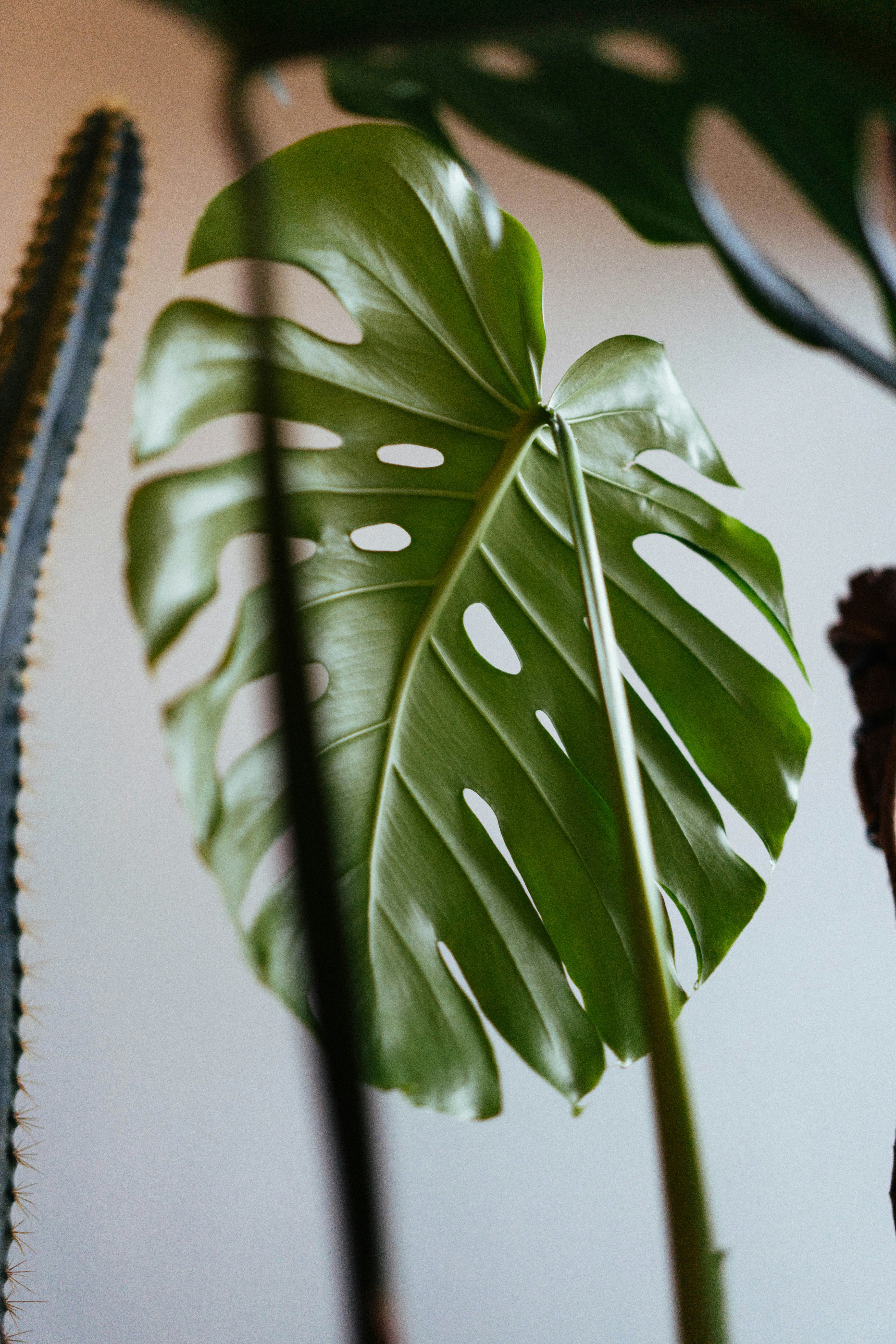 Photo by philhearing