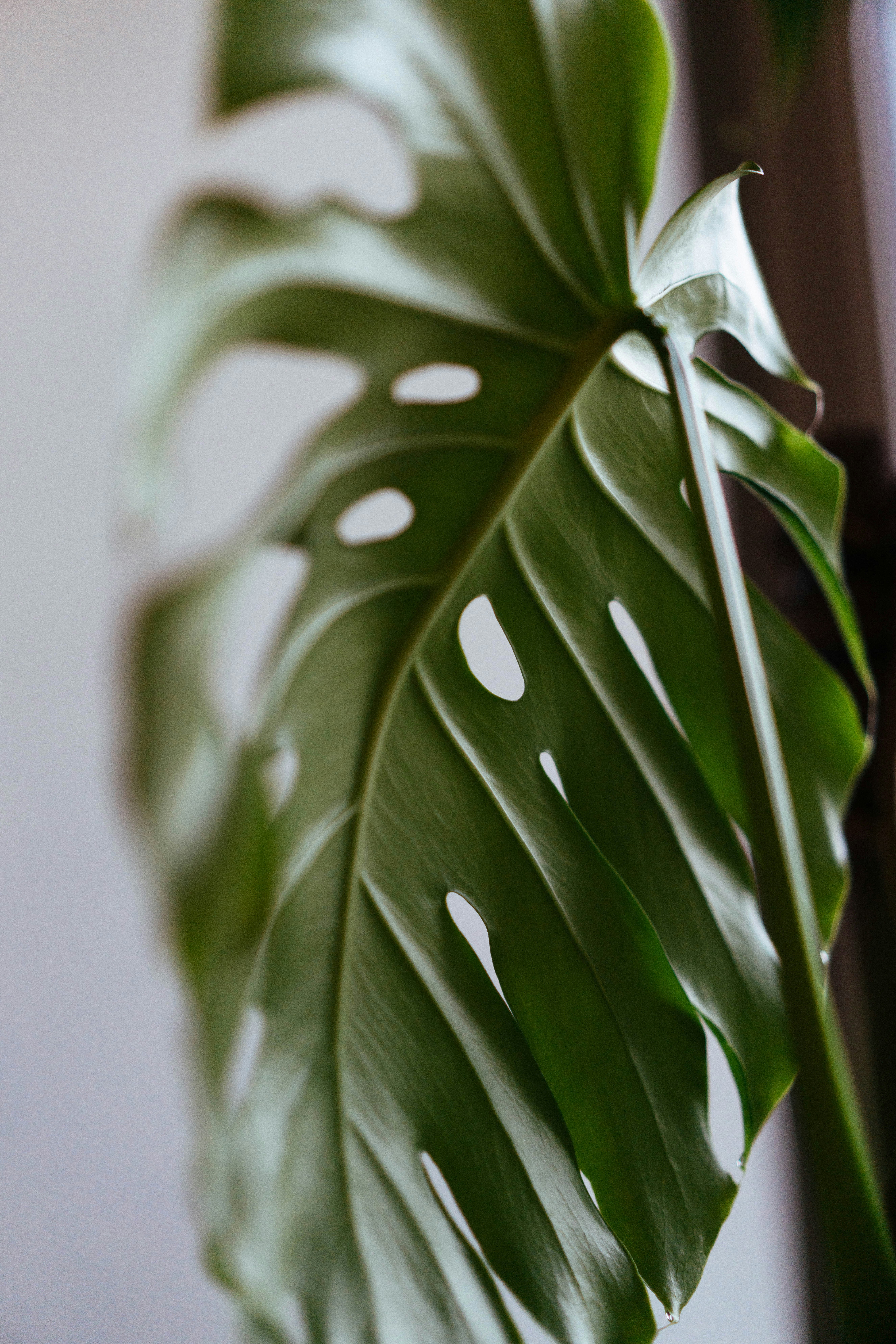 Photo by philhearing