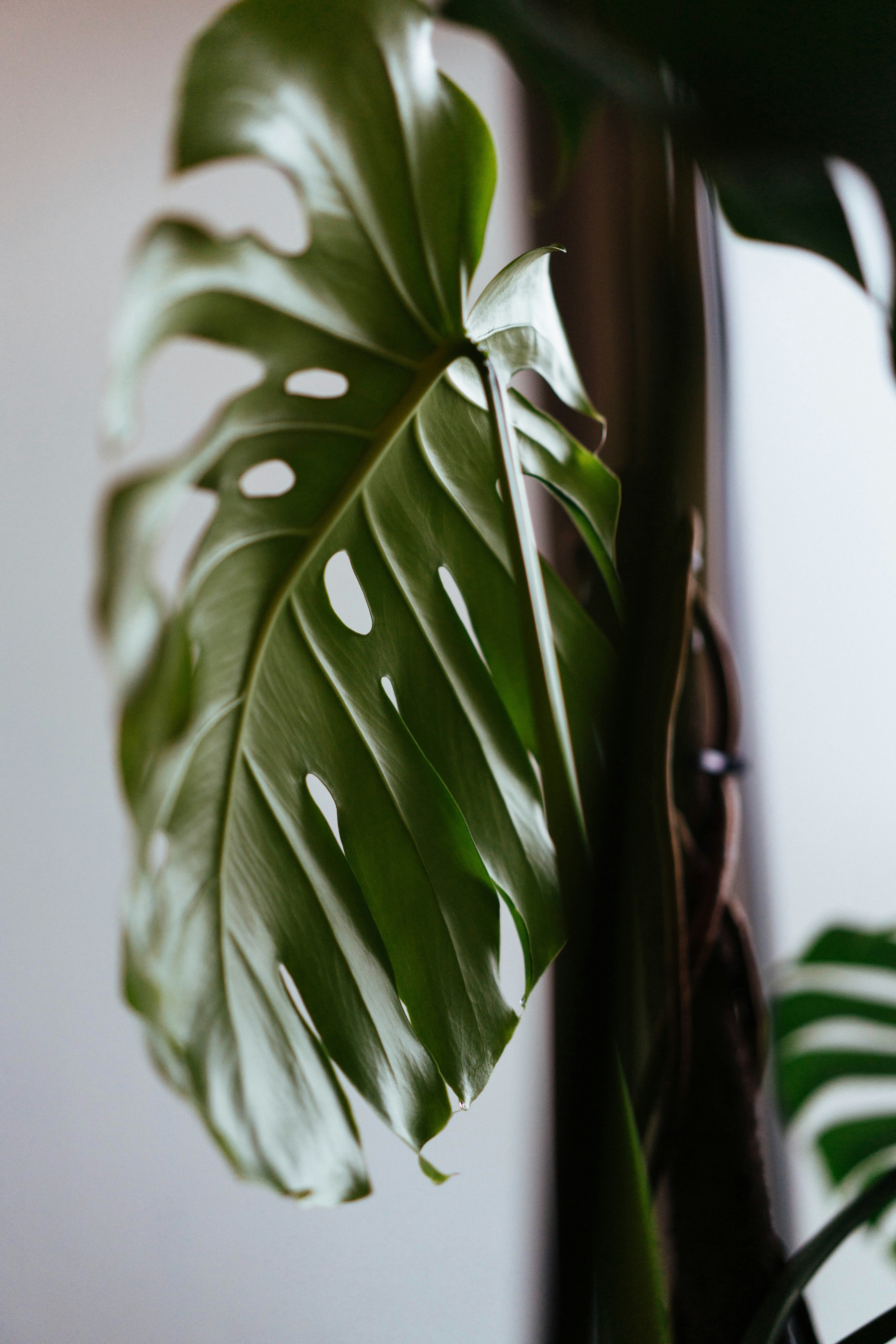 Photo by philhearing