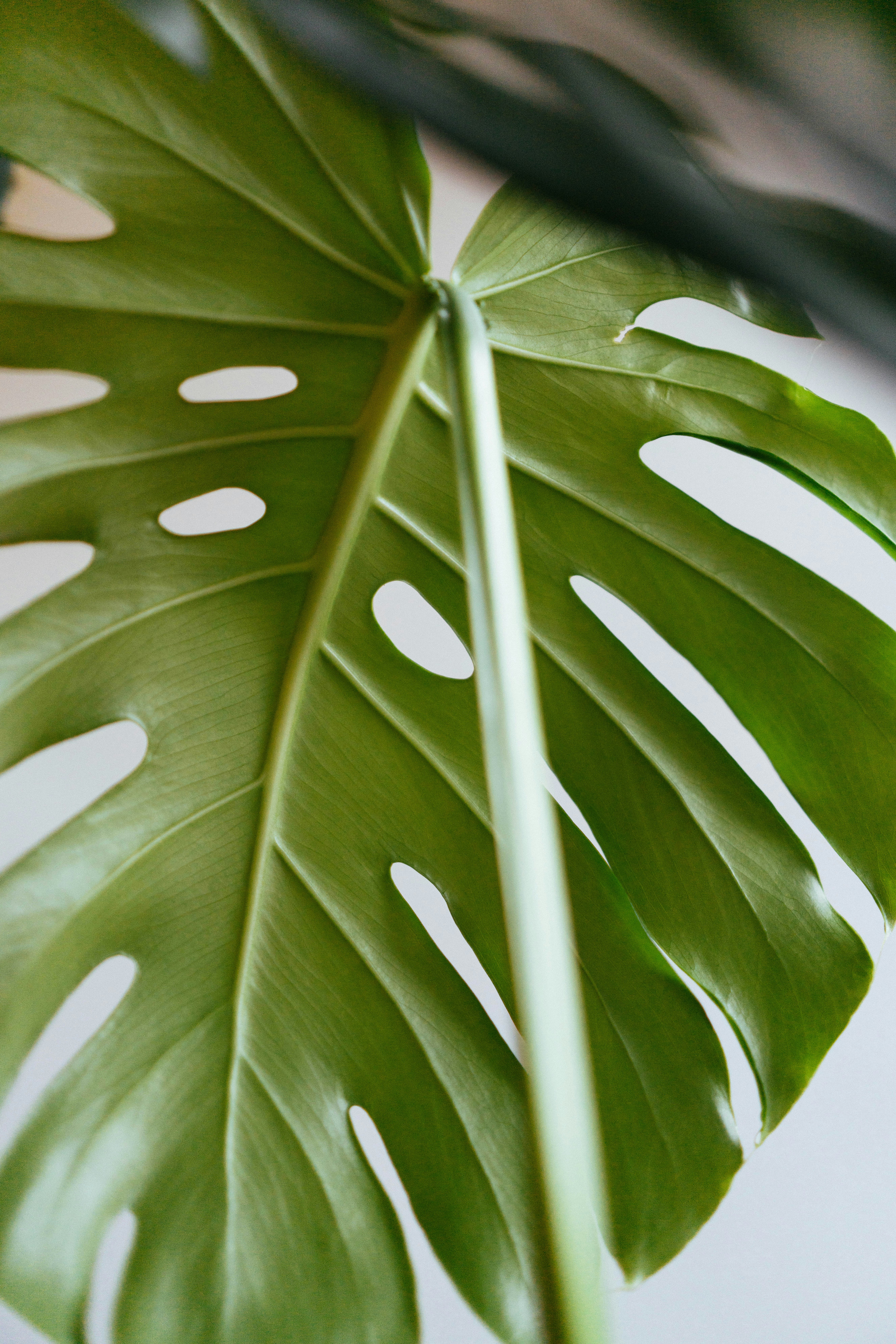 Photo by philhearing