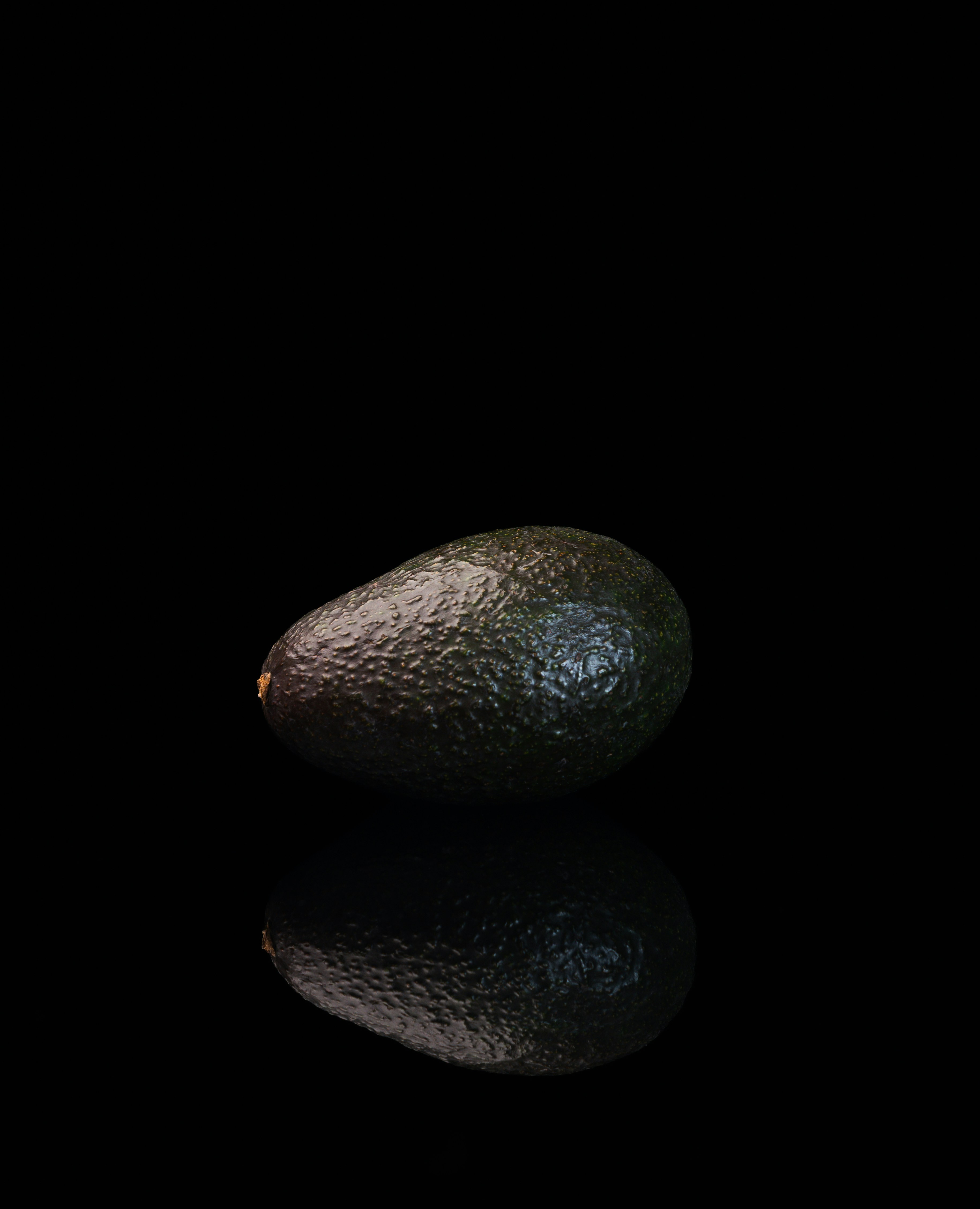A single avocado on a reflective black surface.