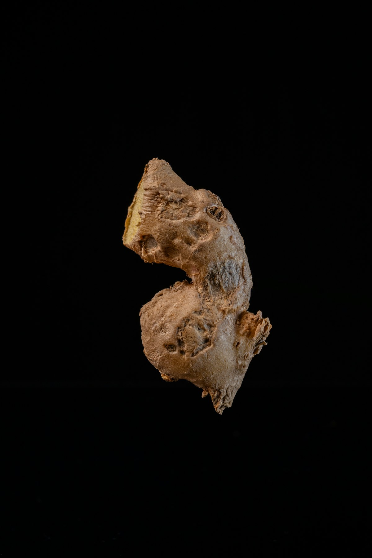 A close view of intertwined roots, symbolizing deep foundations in learning design