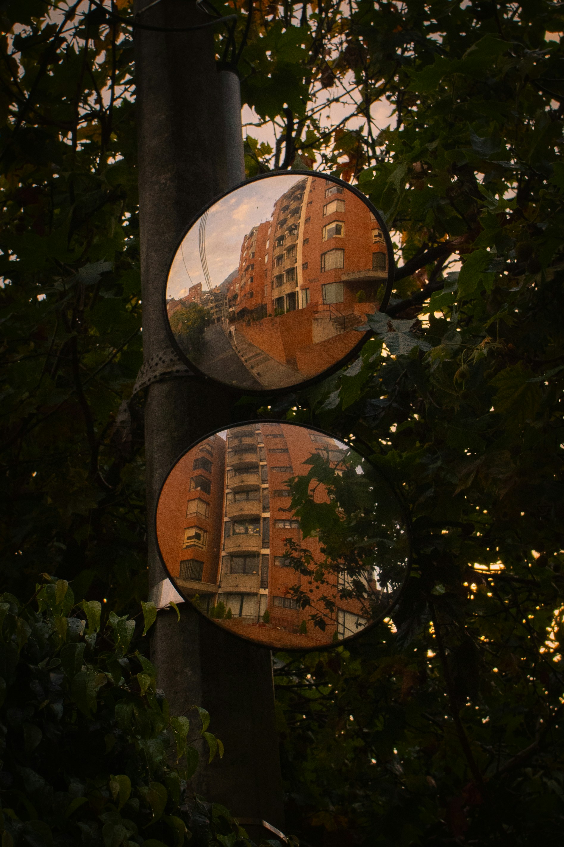 Photo by davidkimmelossa