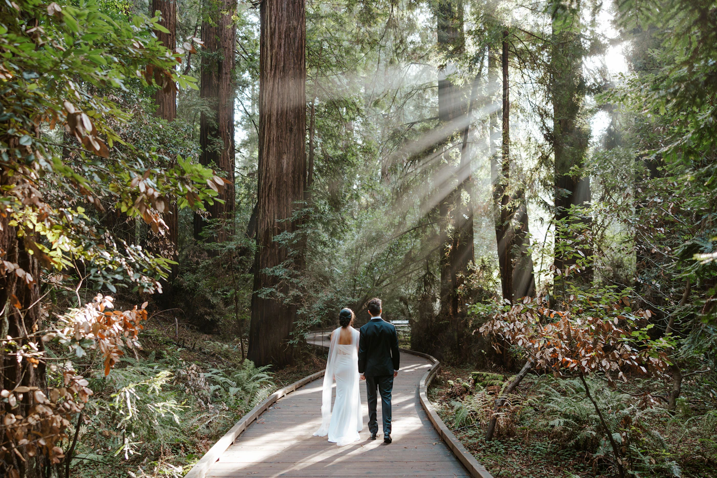 Couple in wedding attire sharing an intimate vow exchange surrounded by towering old-growth forest trees