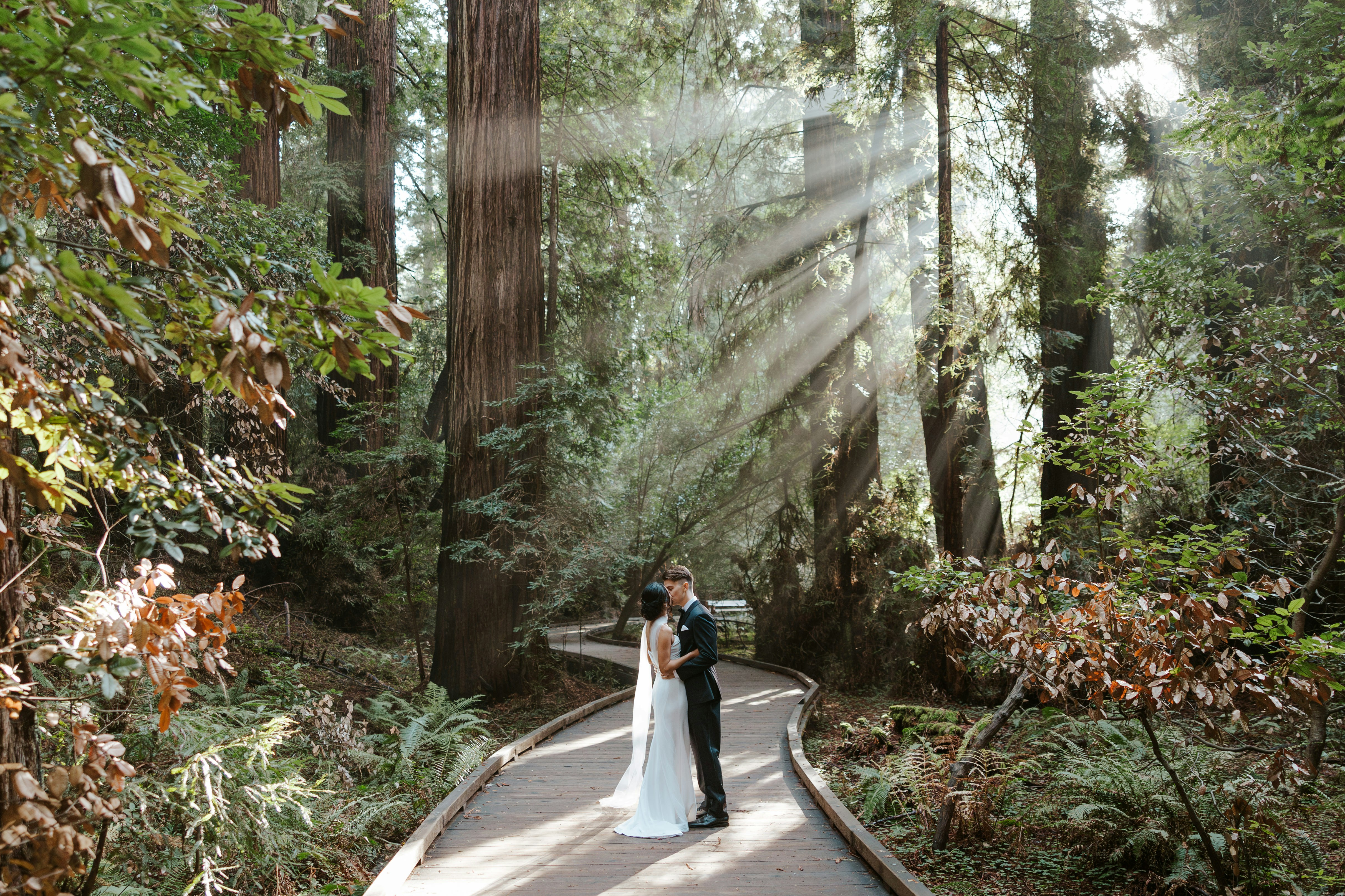 Couple standing on a path in a redwood forest