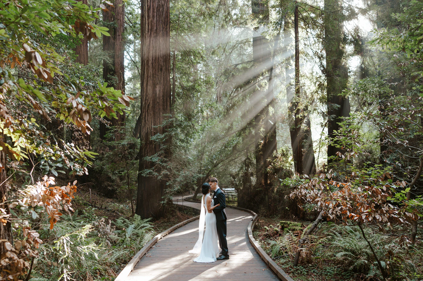 Couple in wedding ceremony attire surrounded by ancient forest trees with dappled green light filtering through the canopy