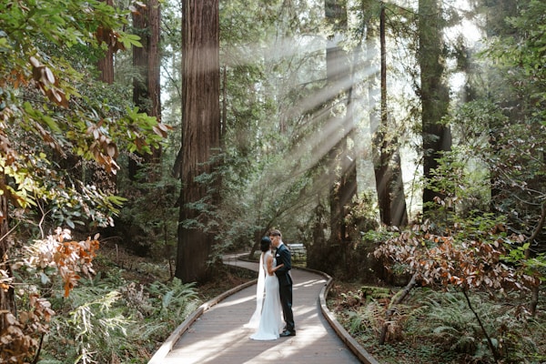 Elopements party bus and limo rental