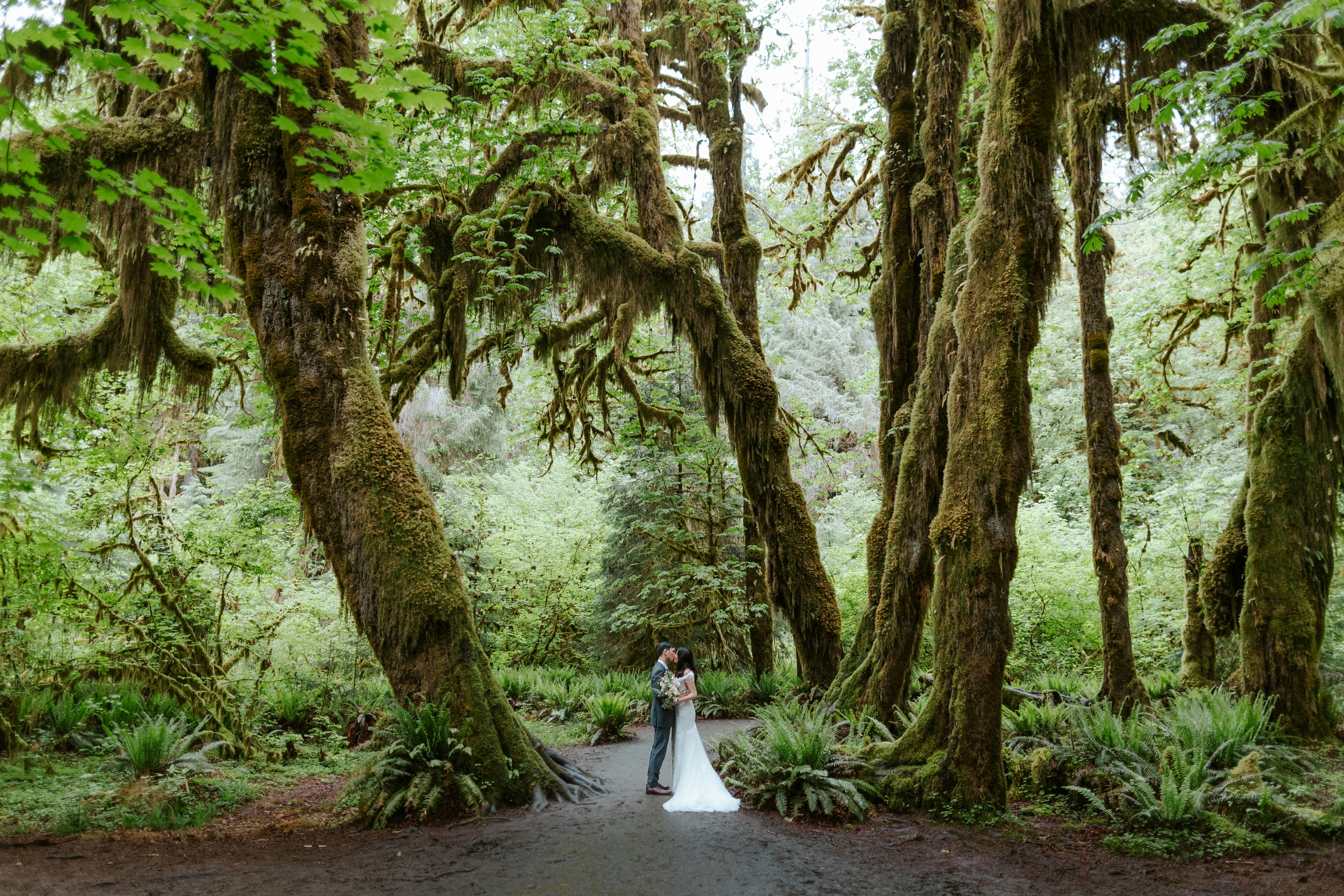 Couple embracing in a moss-covered forest