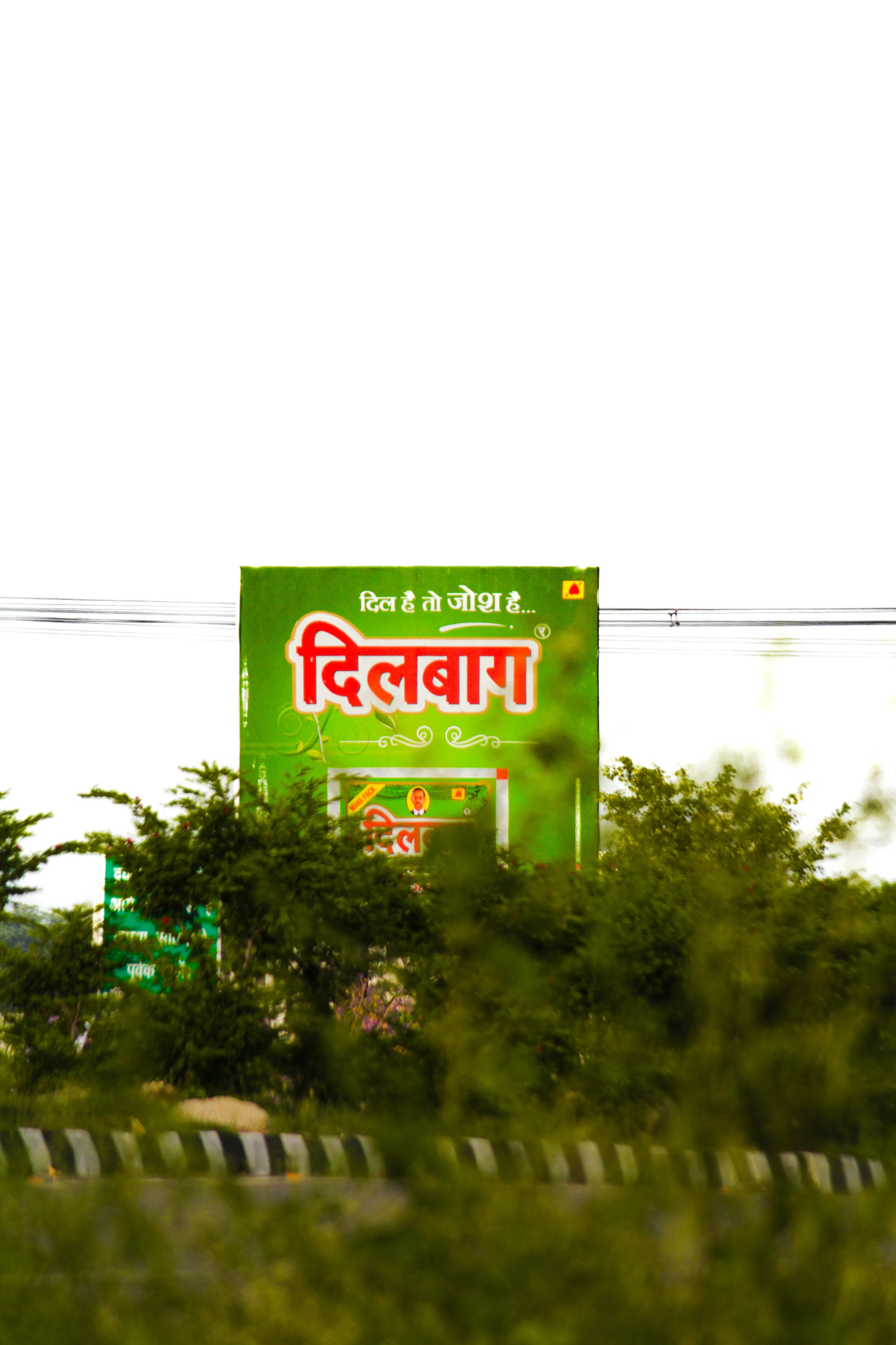 Green sign with hindi text surrounded by foliage