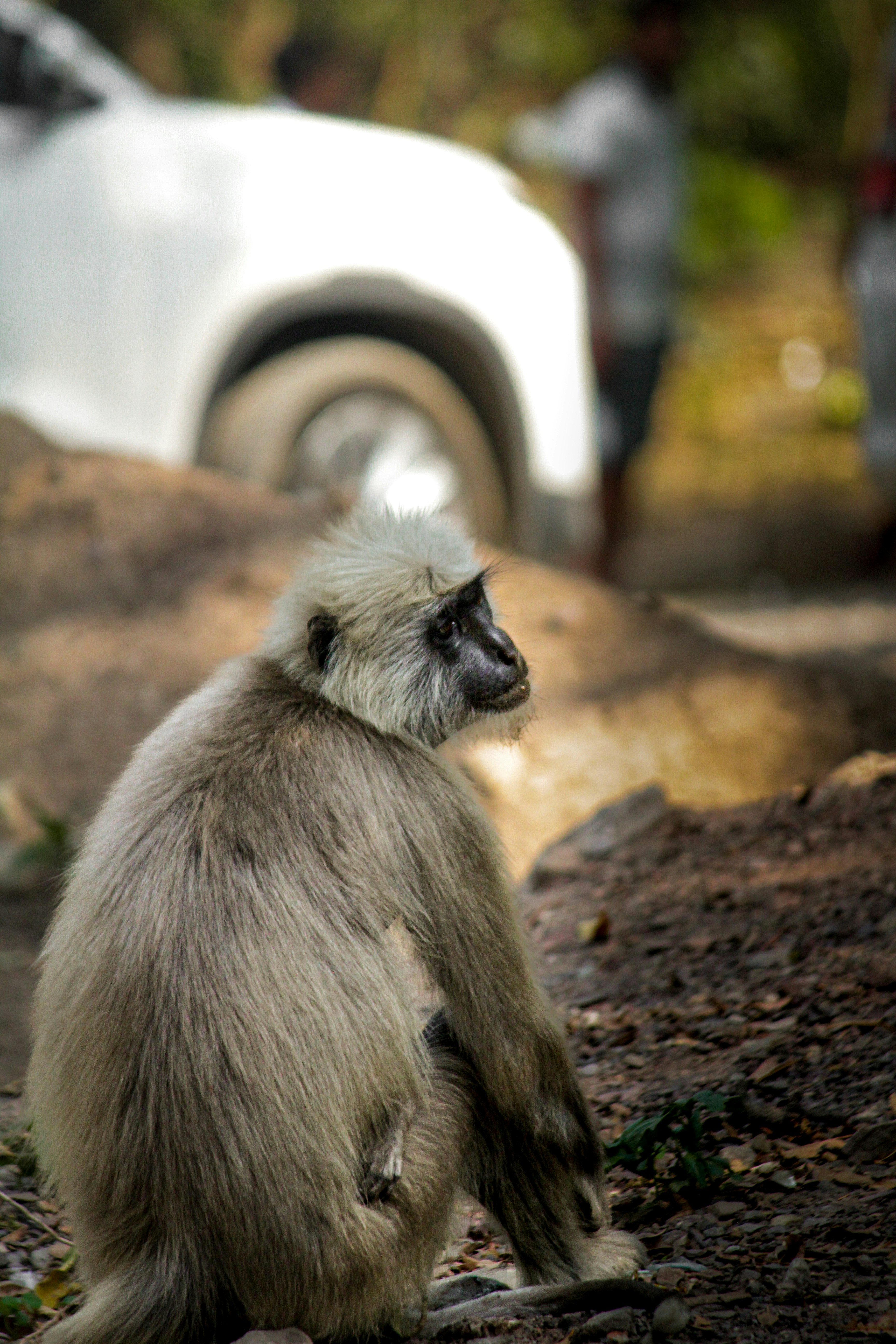 Photo by muhammad_shakir