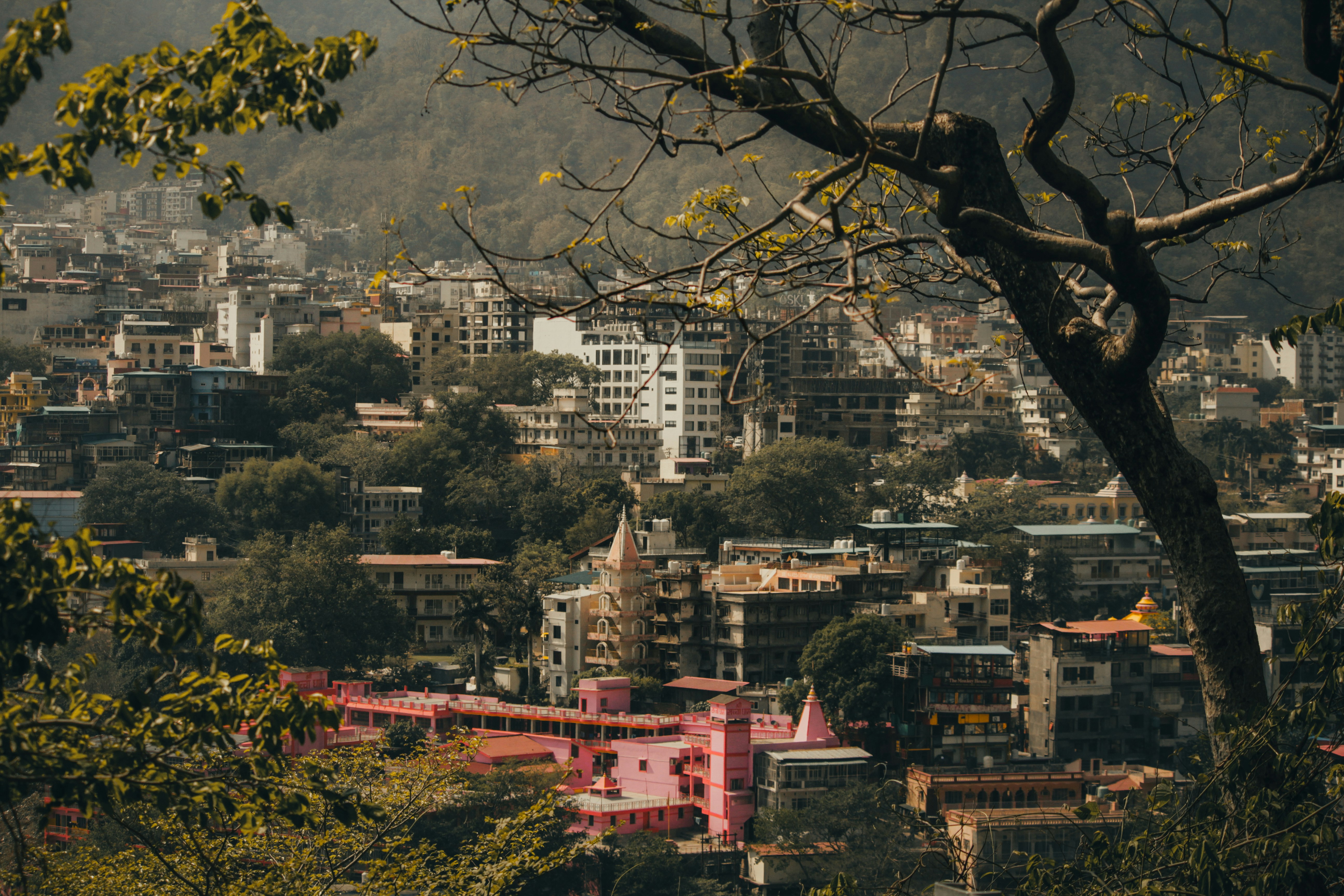 Photo by muhammad_shakir