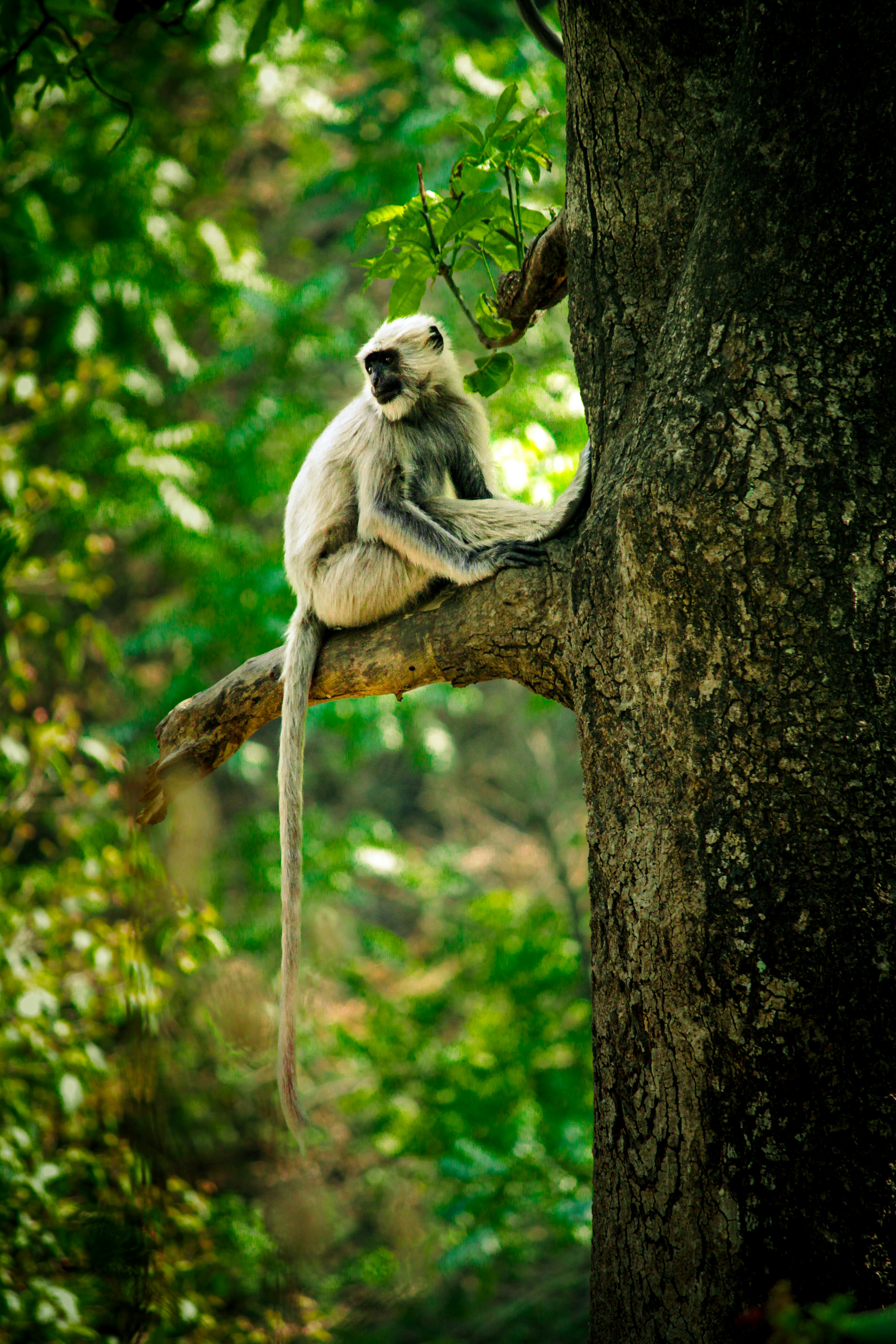 Photo by muhammad_shakir