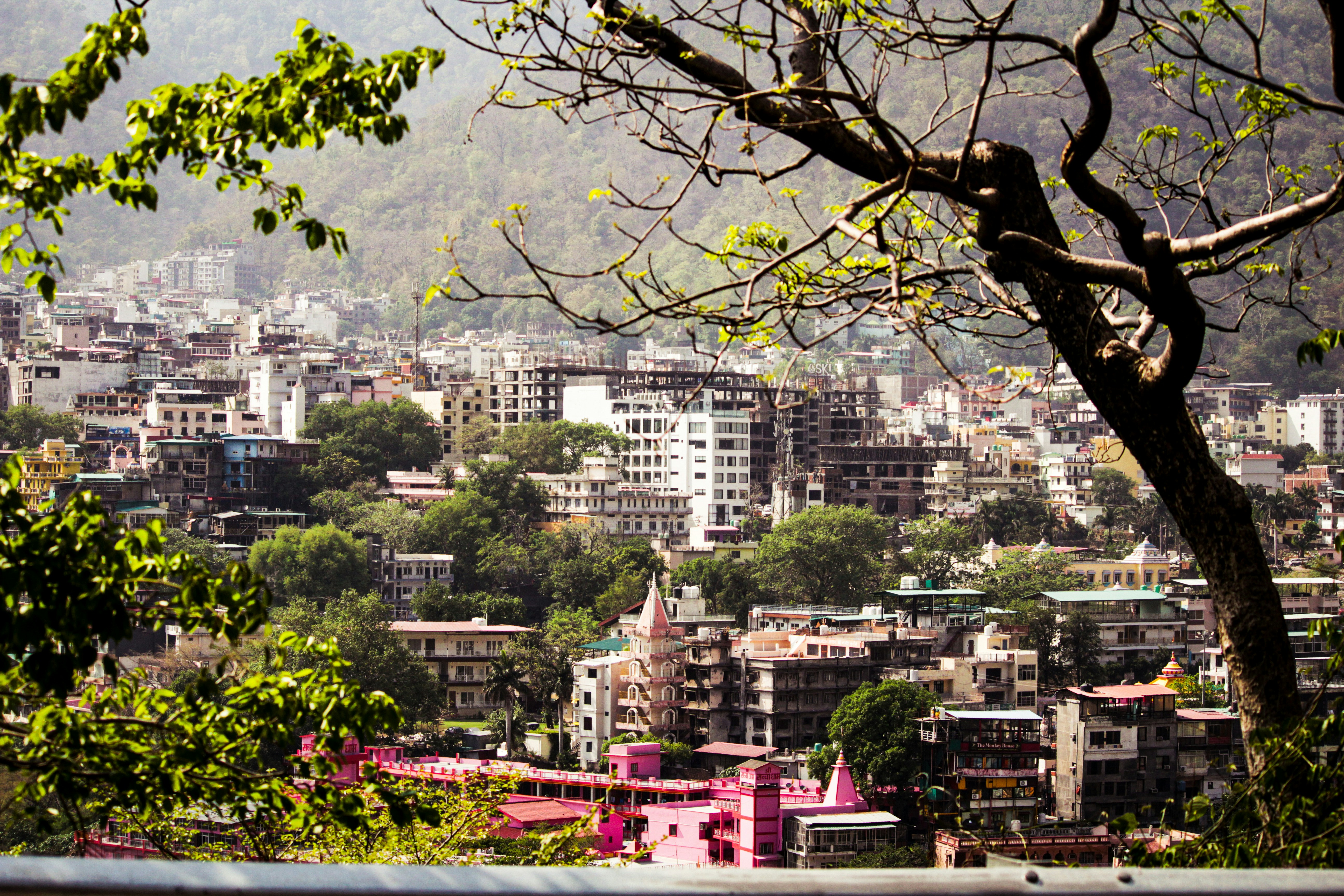 Photo by muhammad_shakir