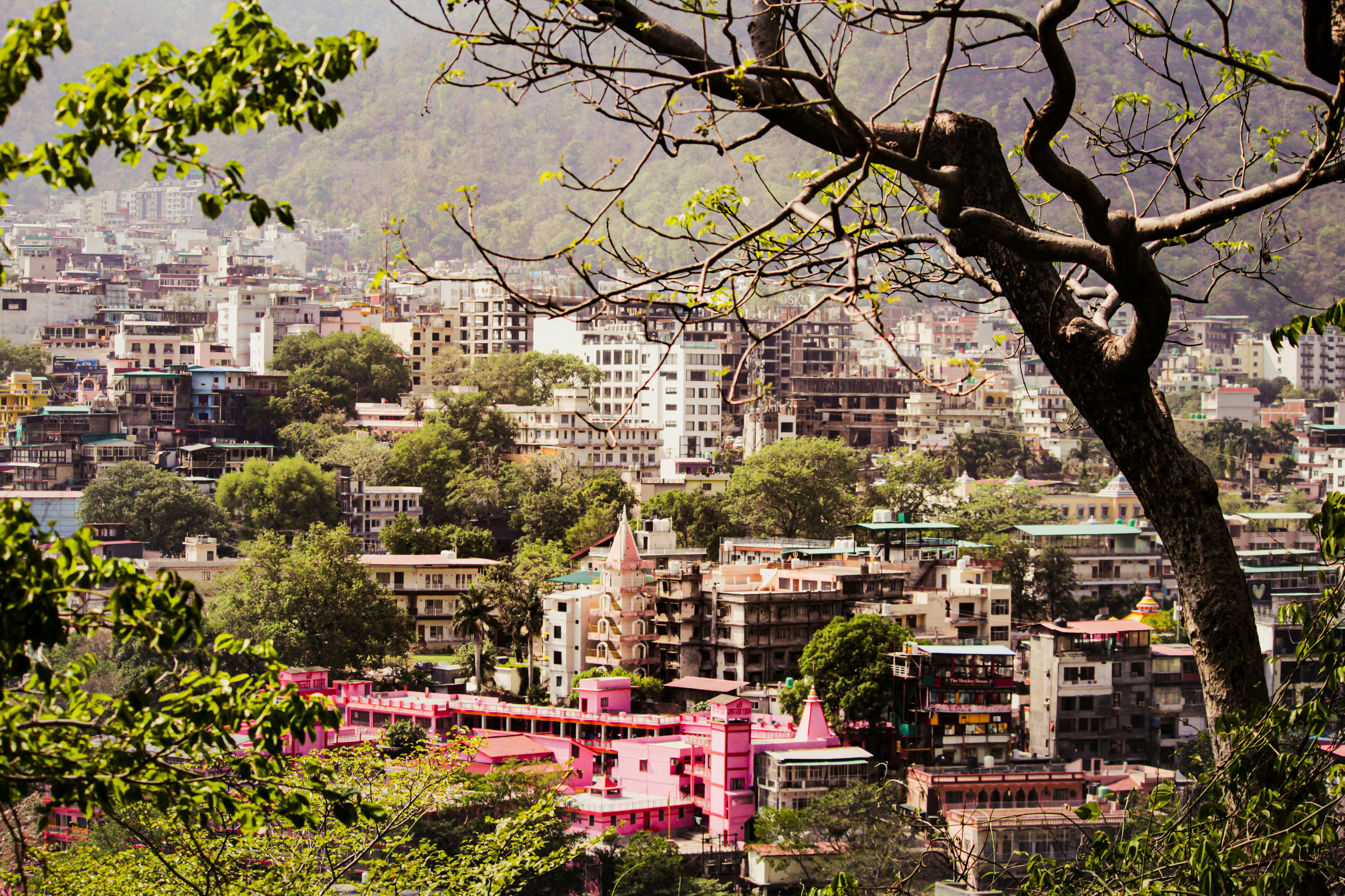 Photo by muhammad_shakir