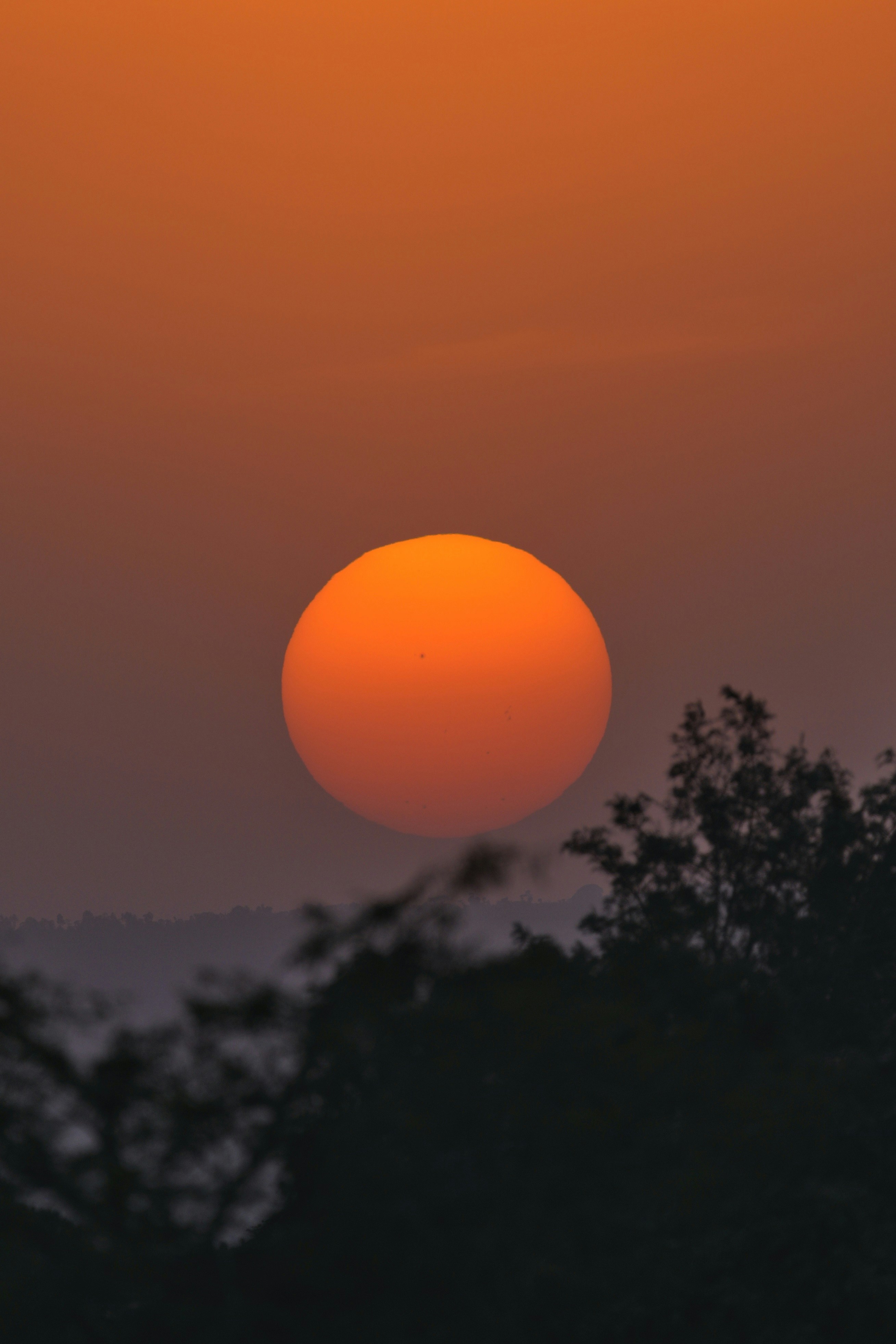 Photo by anthonyjing