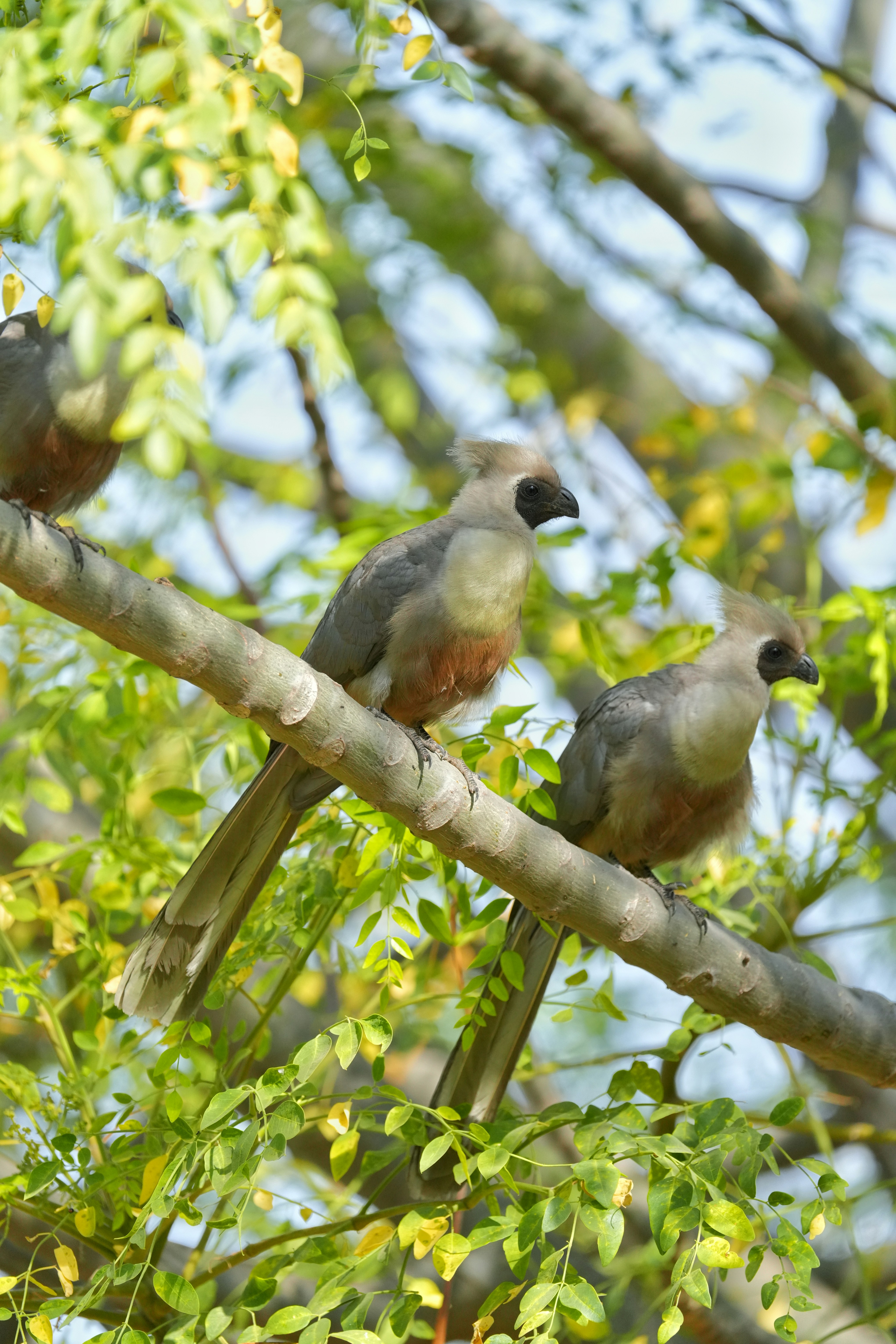 Photo by anthonyjing