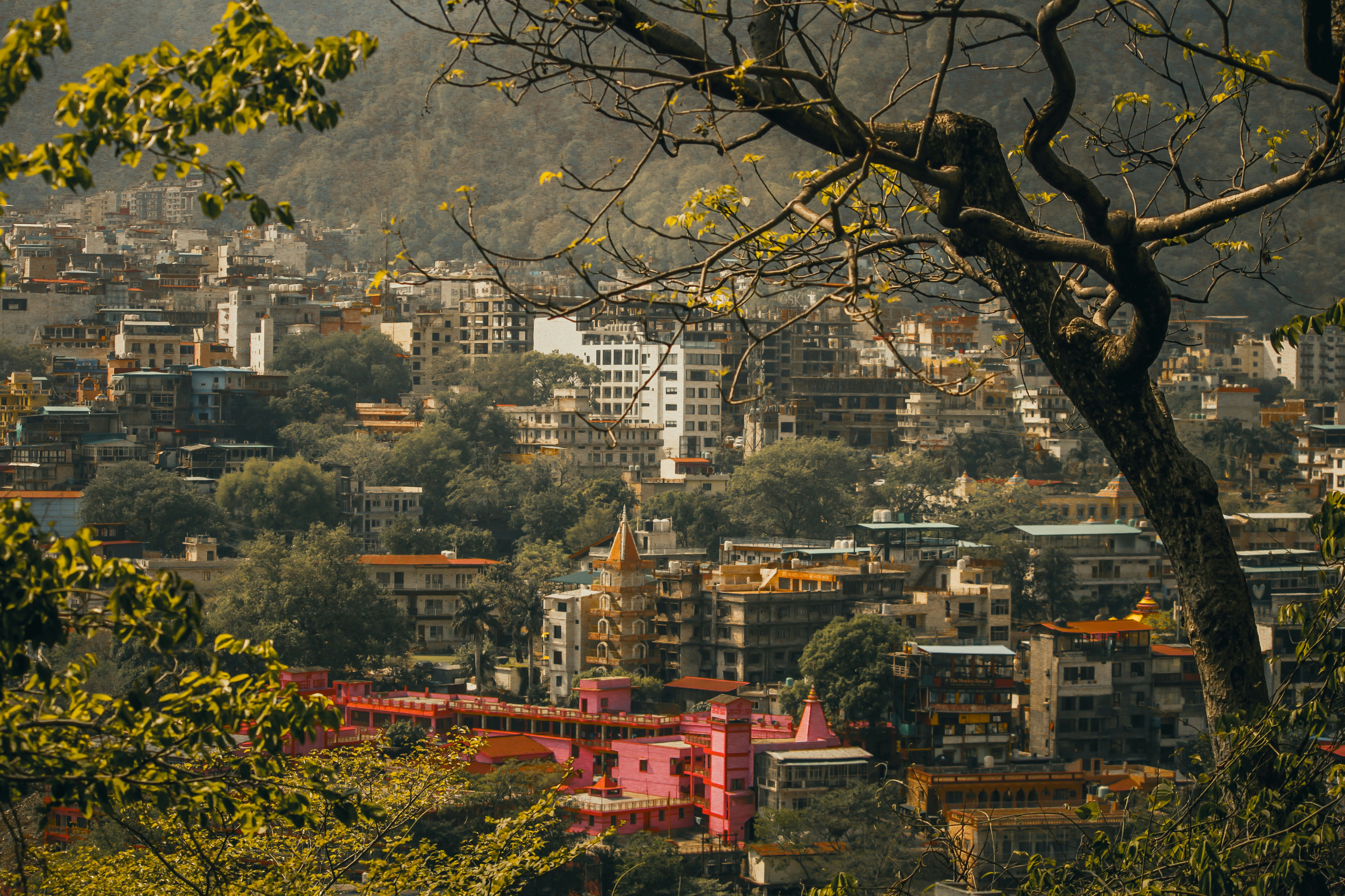 Photo by muhammad_shakir