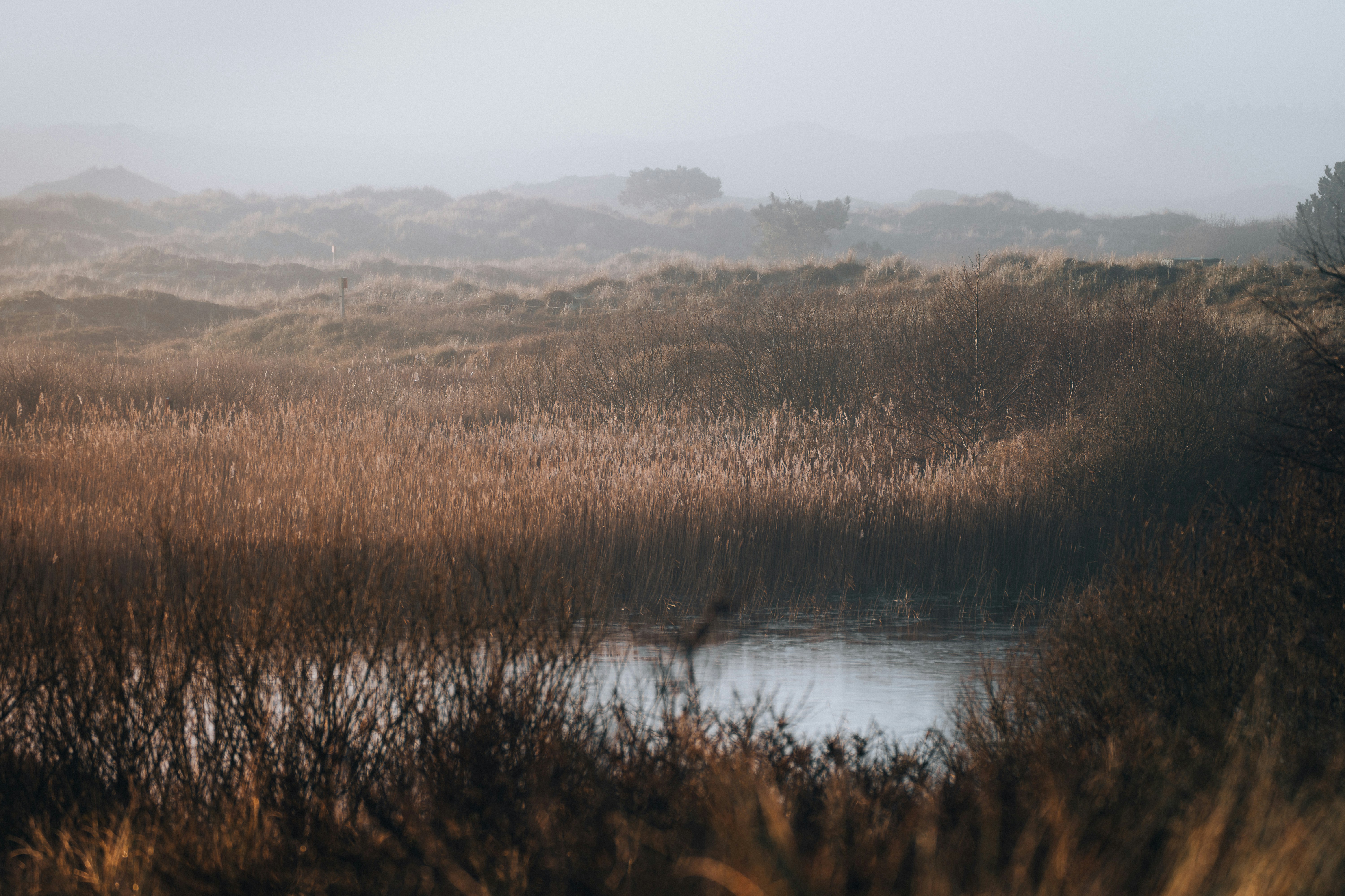 Photo by sinusfiction