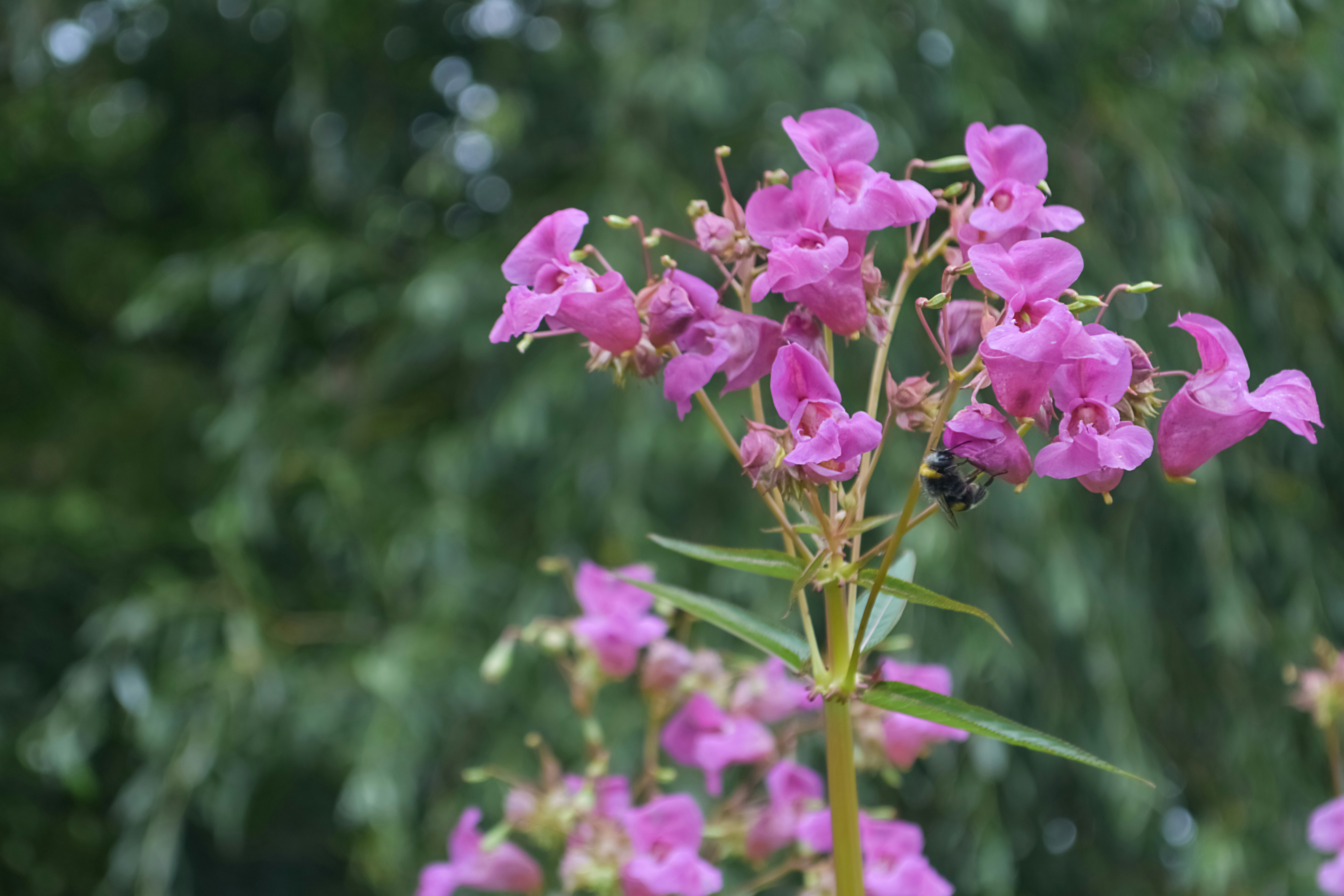 Photo by veronikaaharova