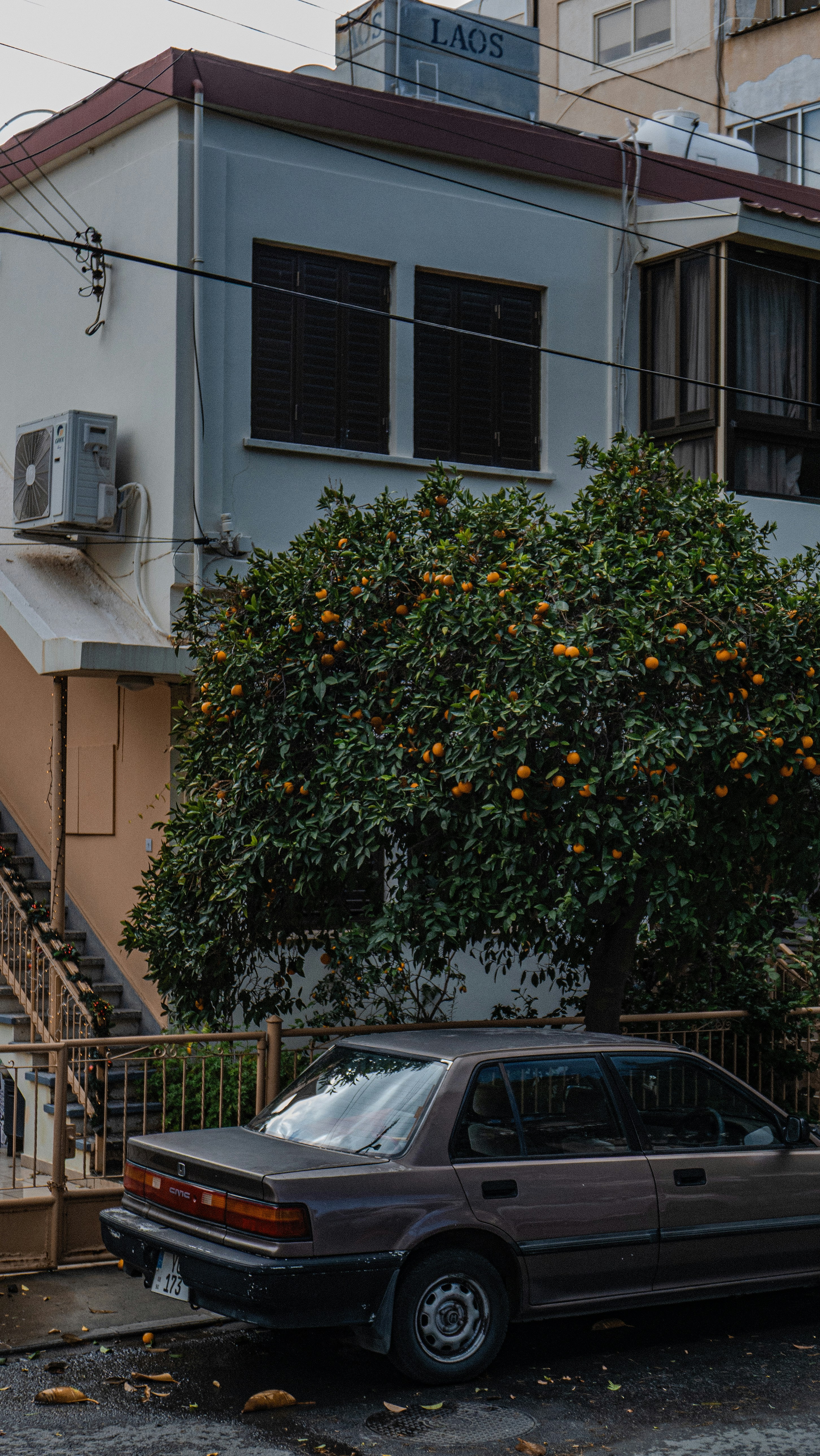 A car parked beside a fruit tree and building.