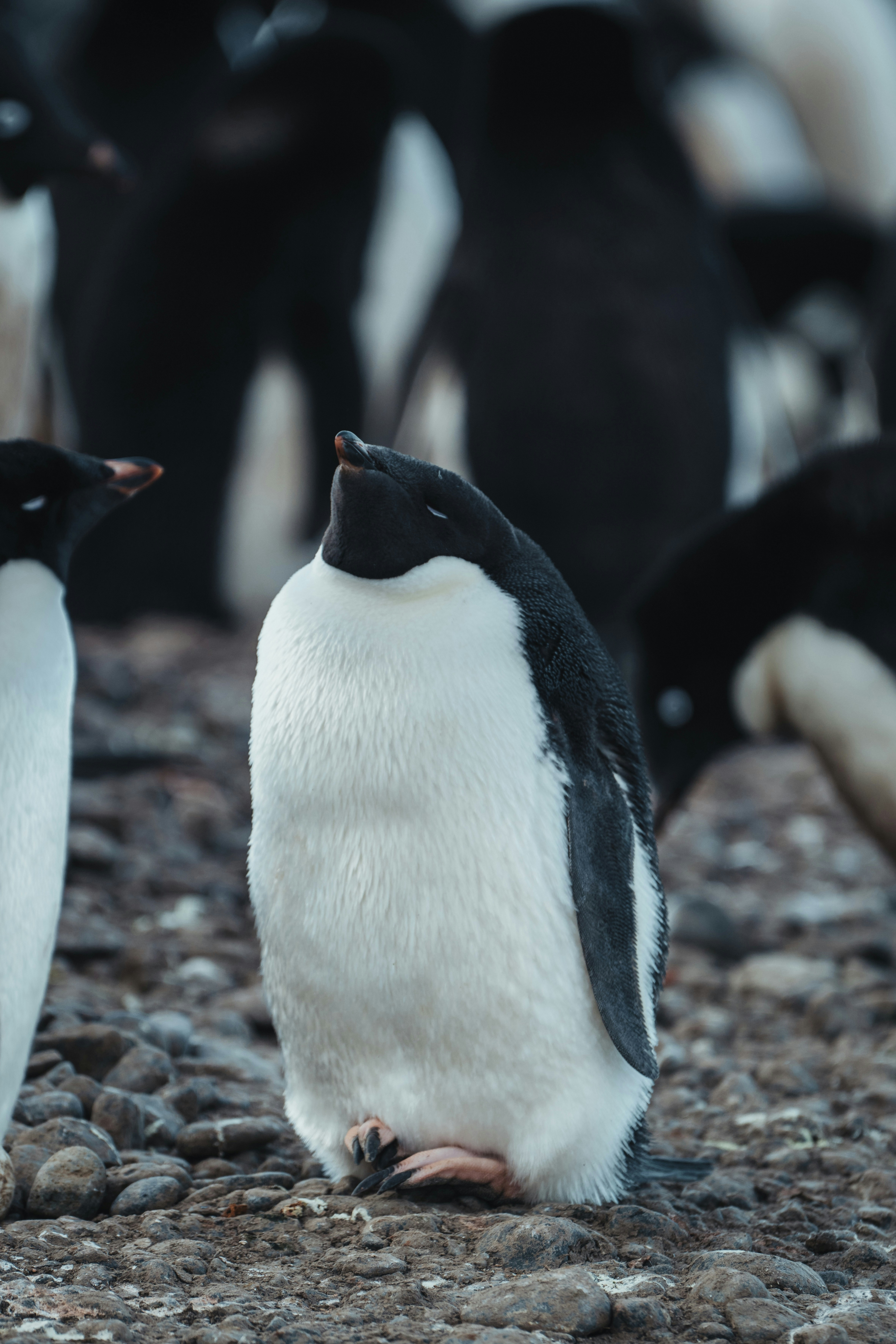 Photo by ruben_zimmermann