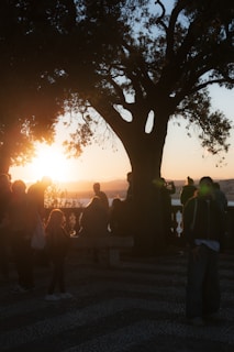 People watching sunset under a large tree