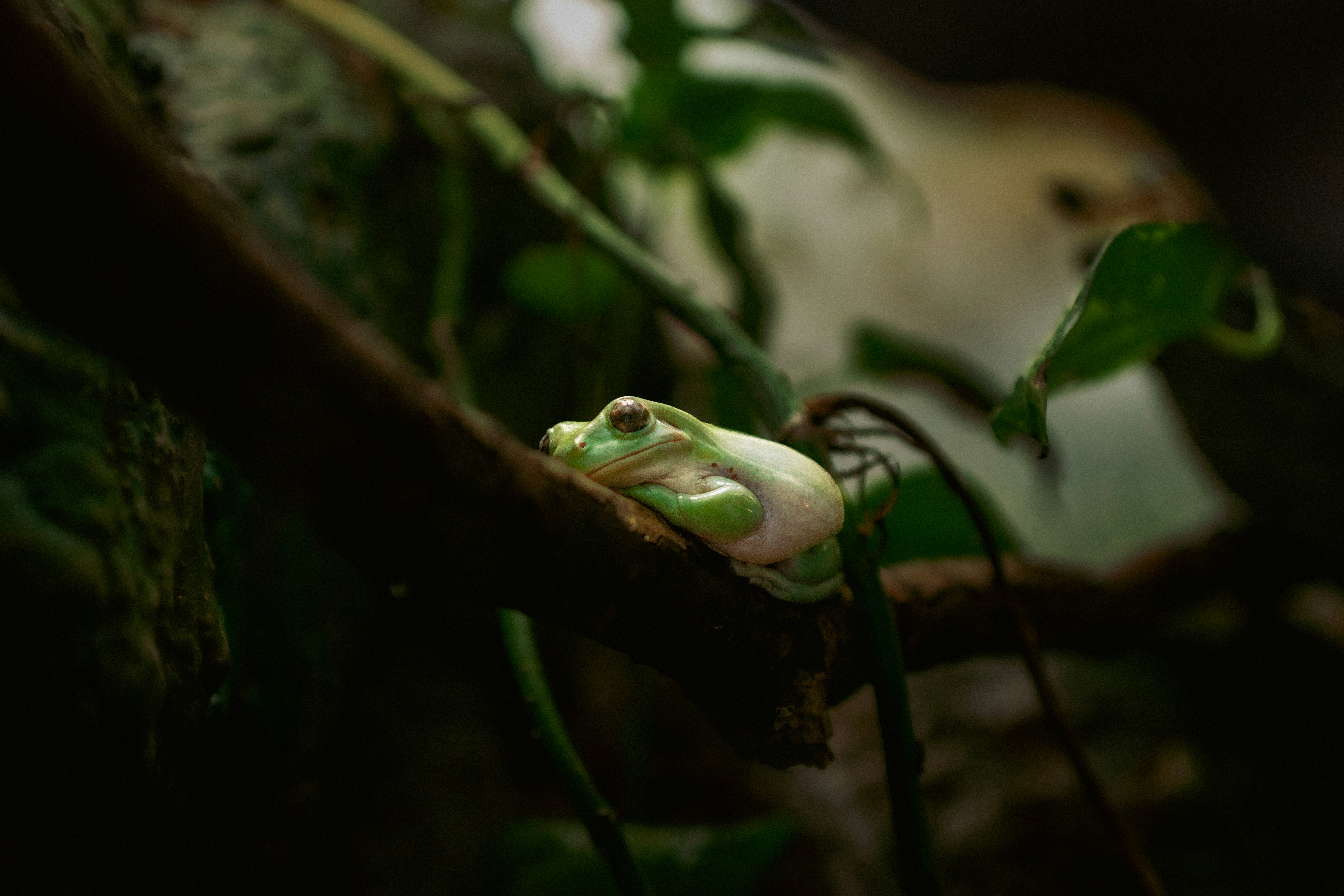 Photo by ramonakudure