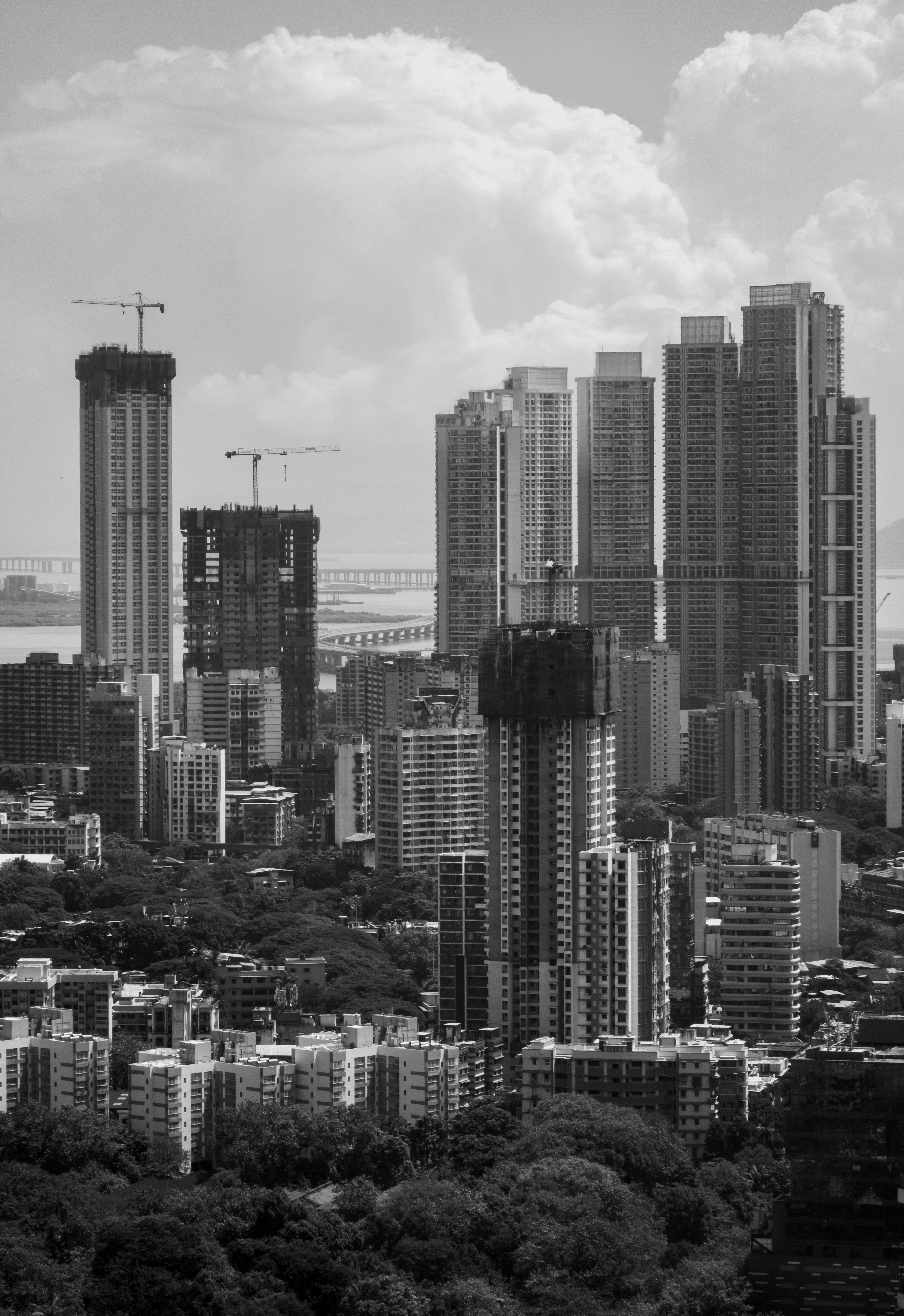 Photo by zoshuacolah