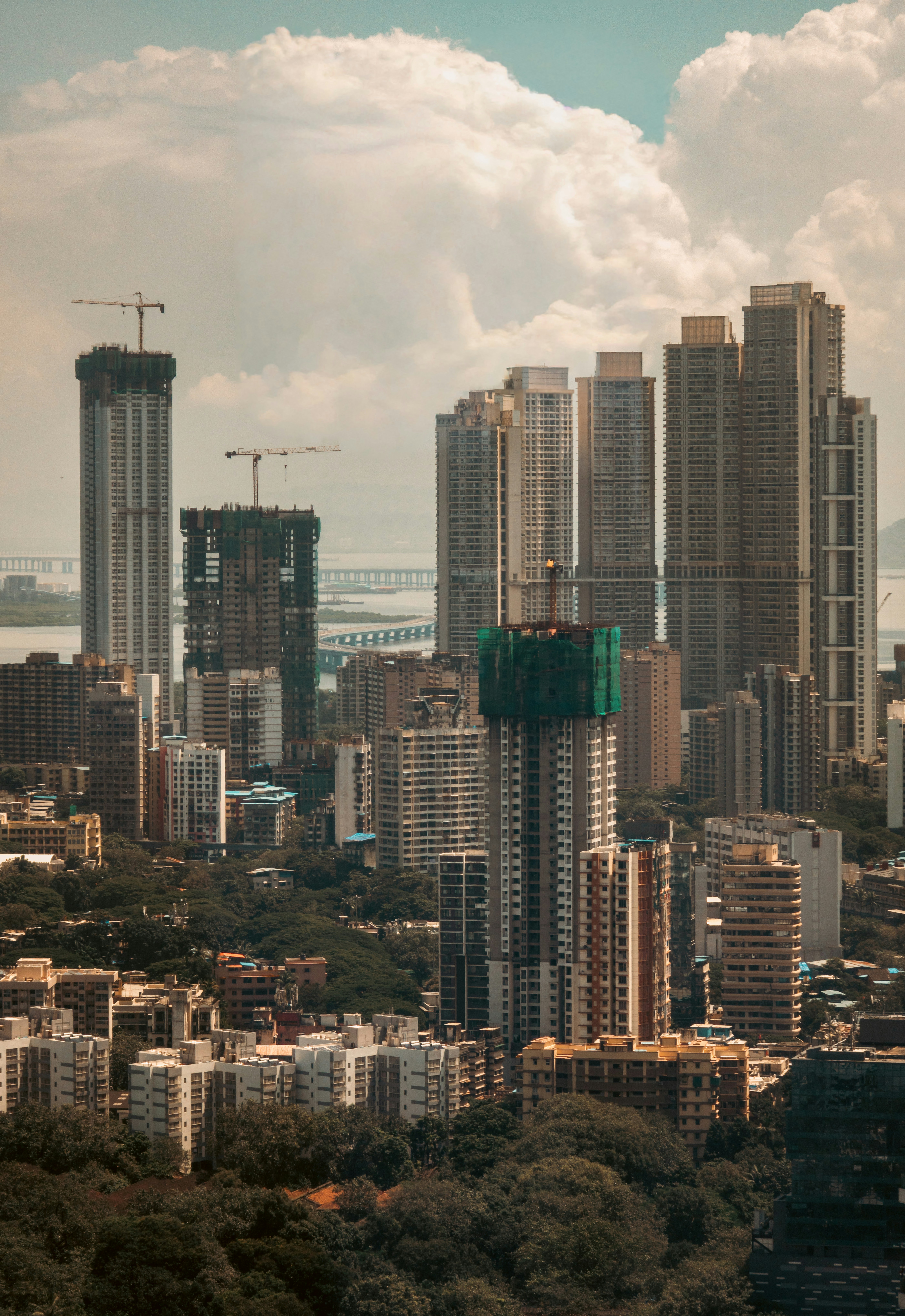 Photo by zoshuacolah