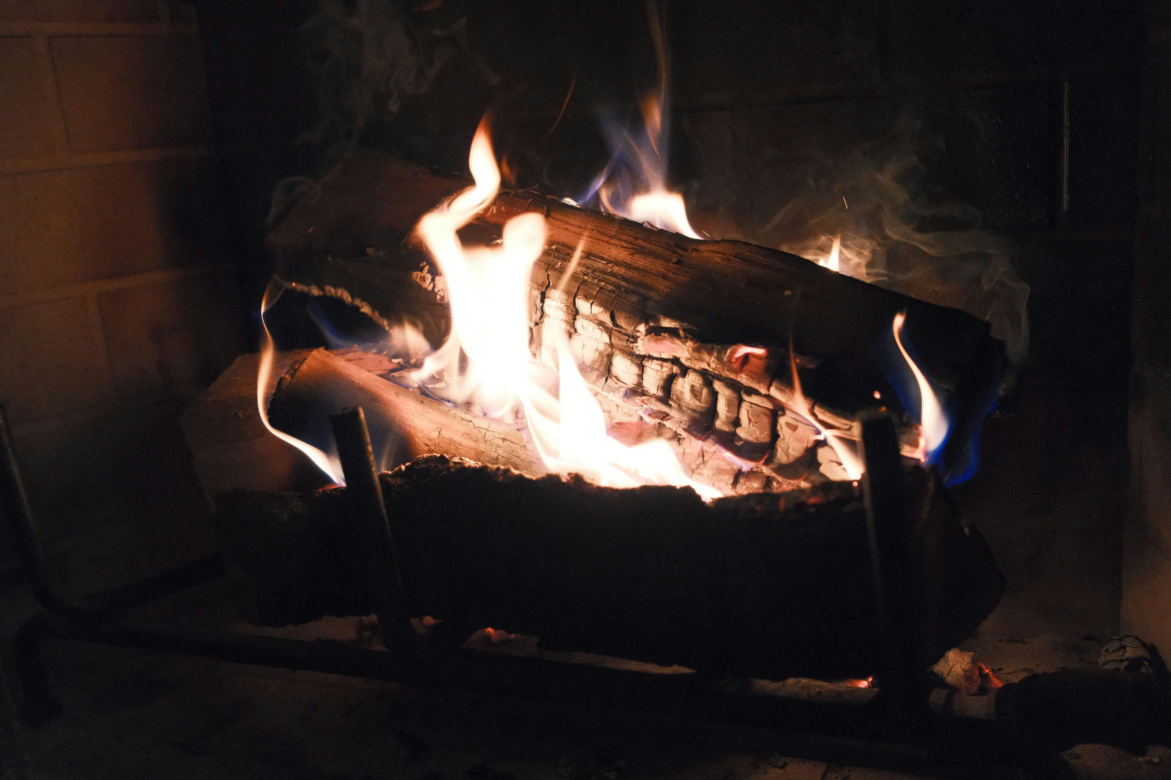 Photo by travisfishl