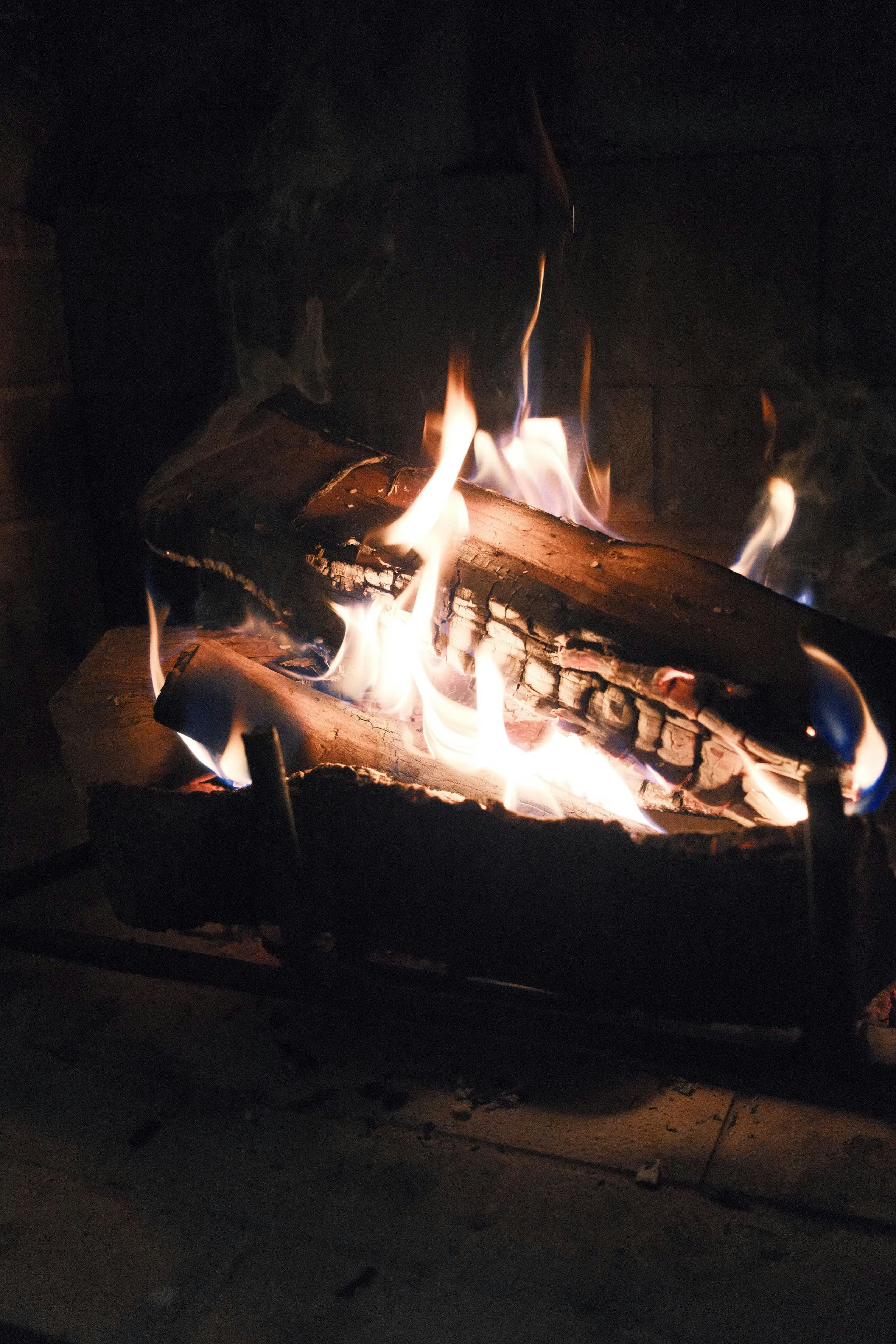 Photo by travisfishl